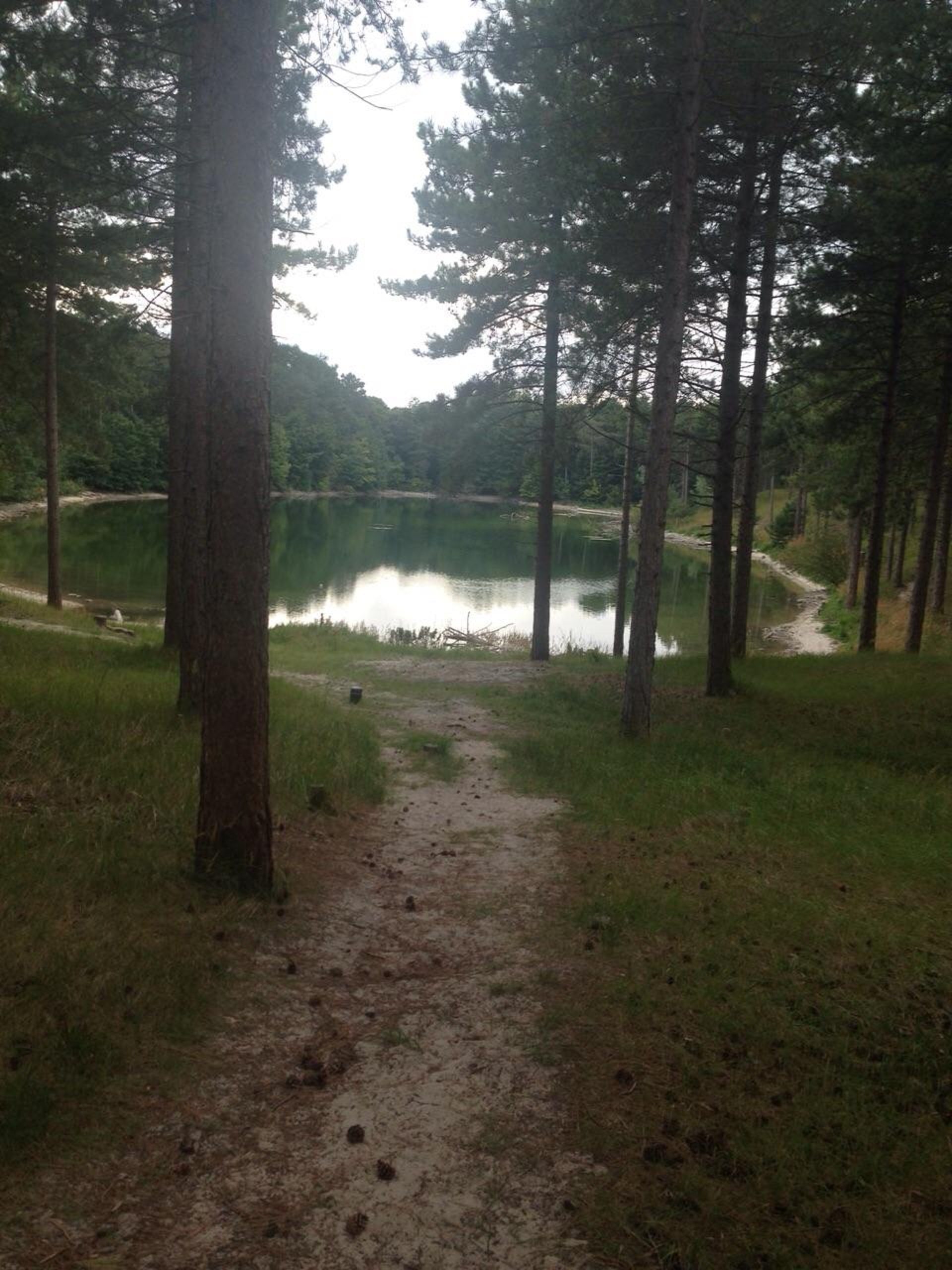 black blue and yellow textile