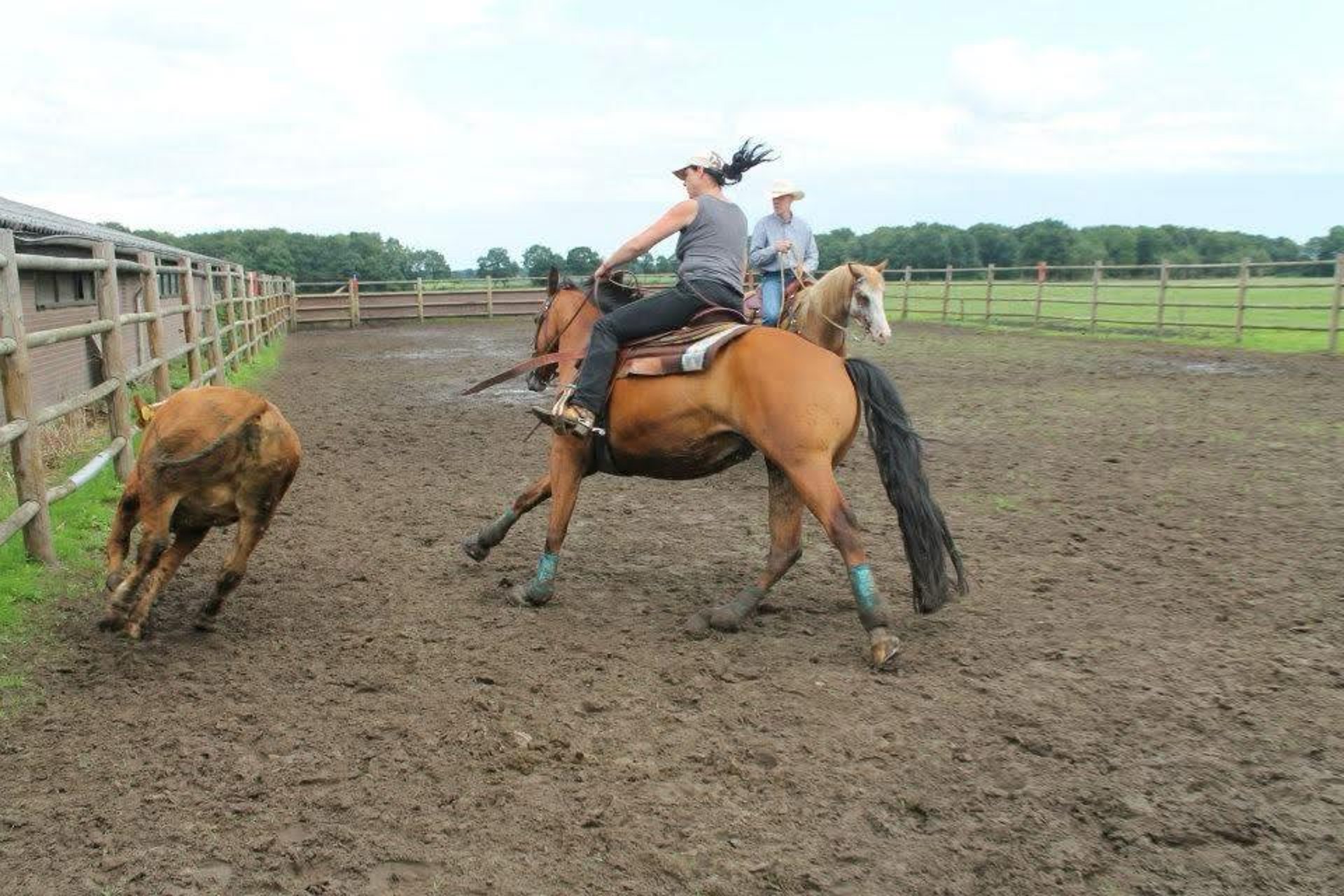 black blue and yellow textile