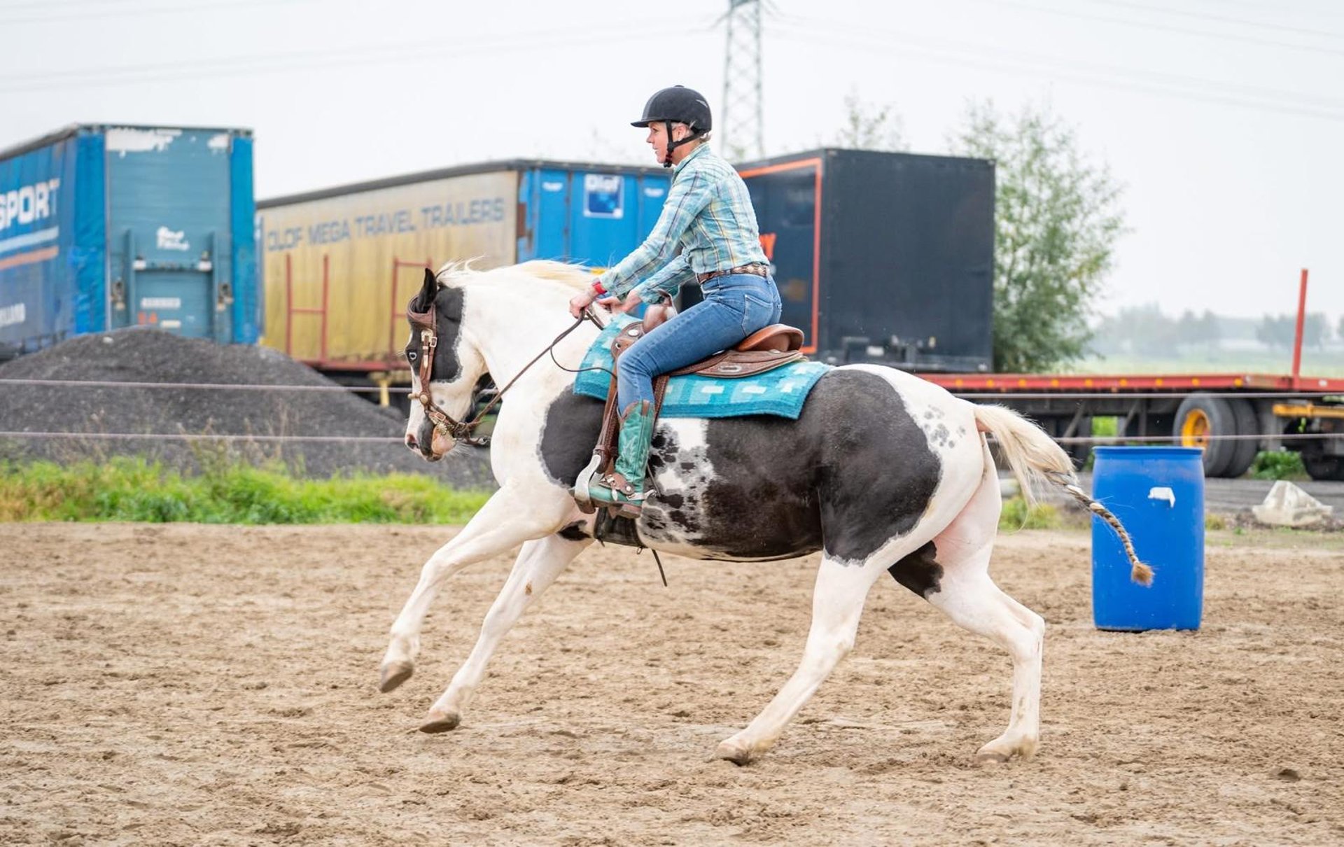 brown wooden house on lake