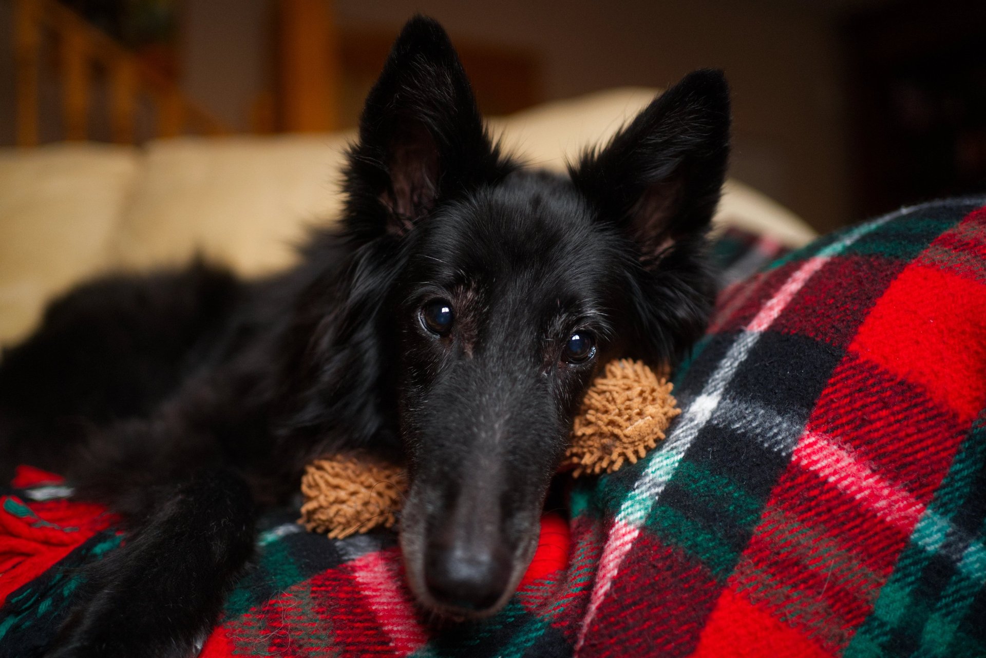 an abstract photo of a curved building with a blue sky in the background