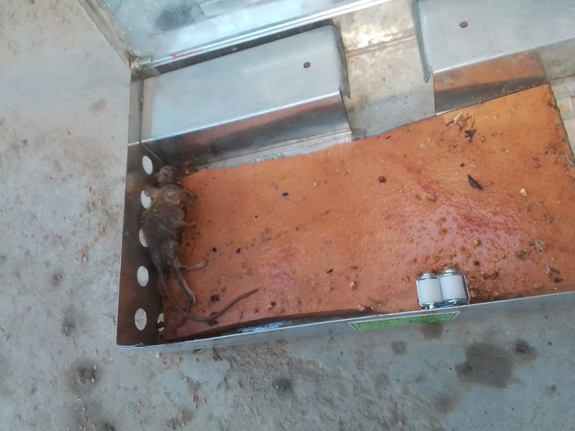 black and brown leather padded tub sofa