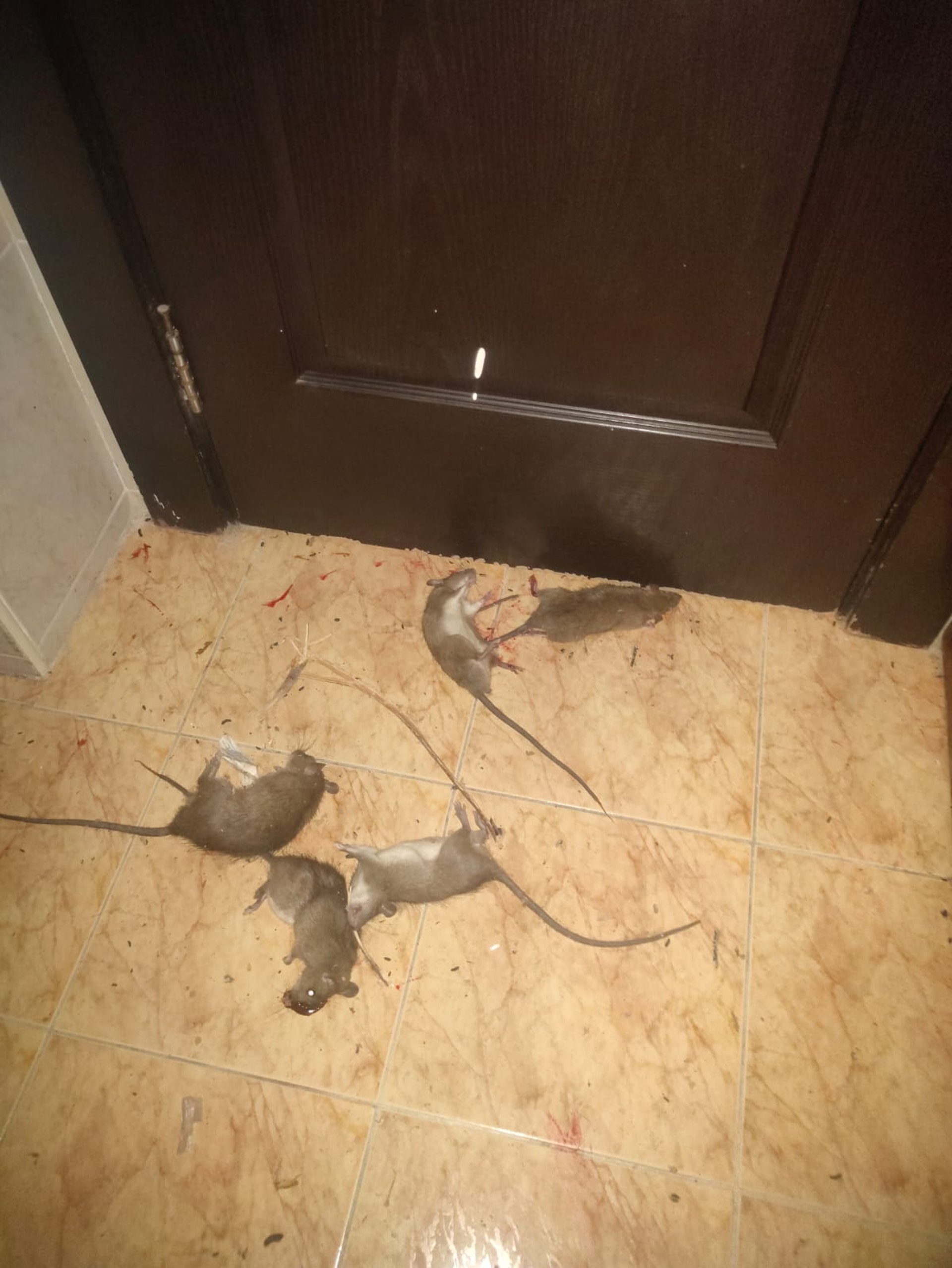 woman wearing yellow long-sleeved dress under white clouds and blue sky during daytime