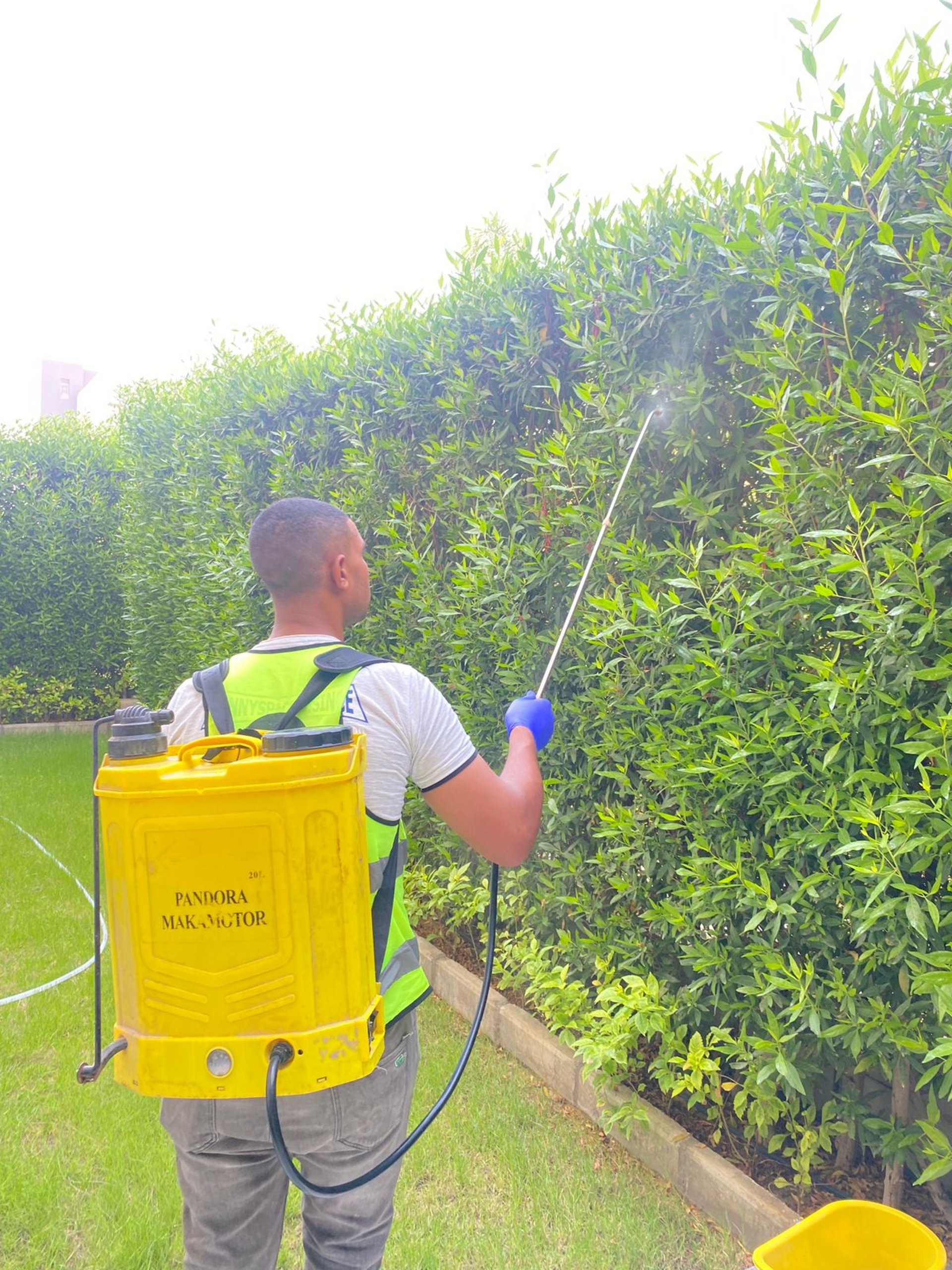 black and brown leather padded tub sofa