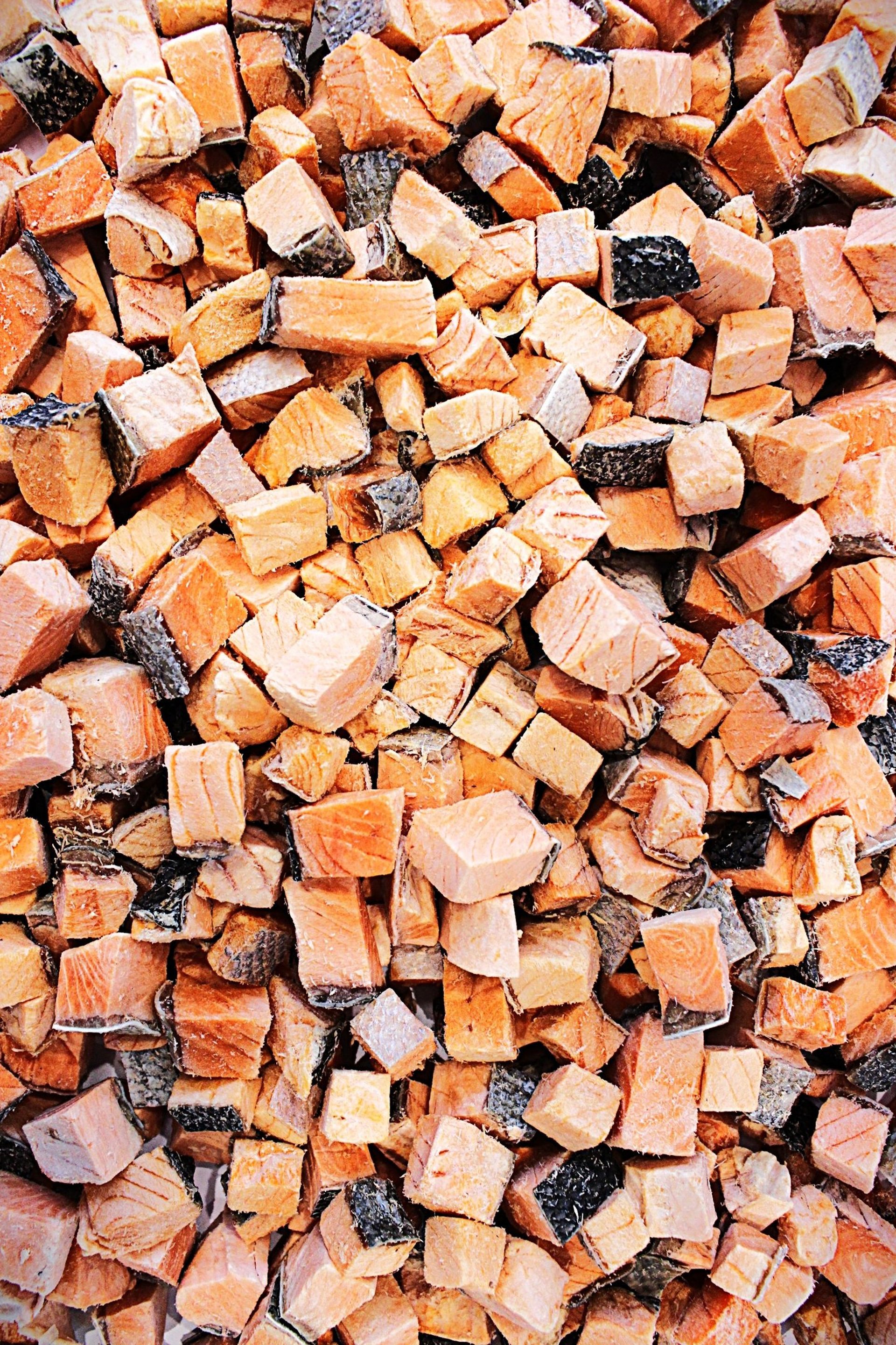 a dog and a cat laying in the grass