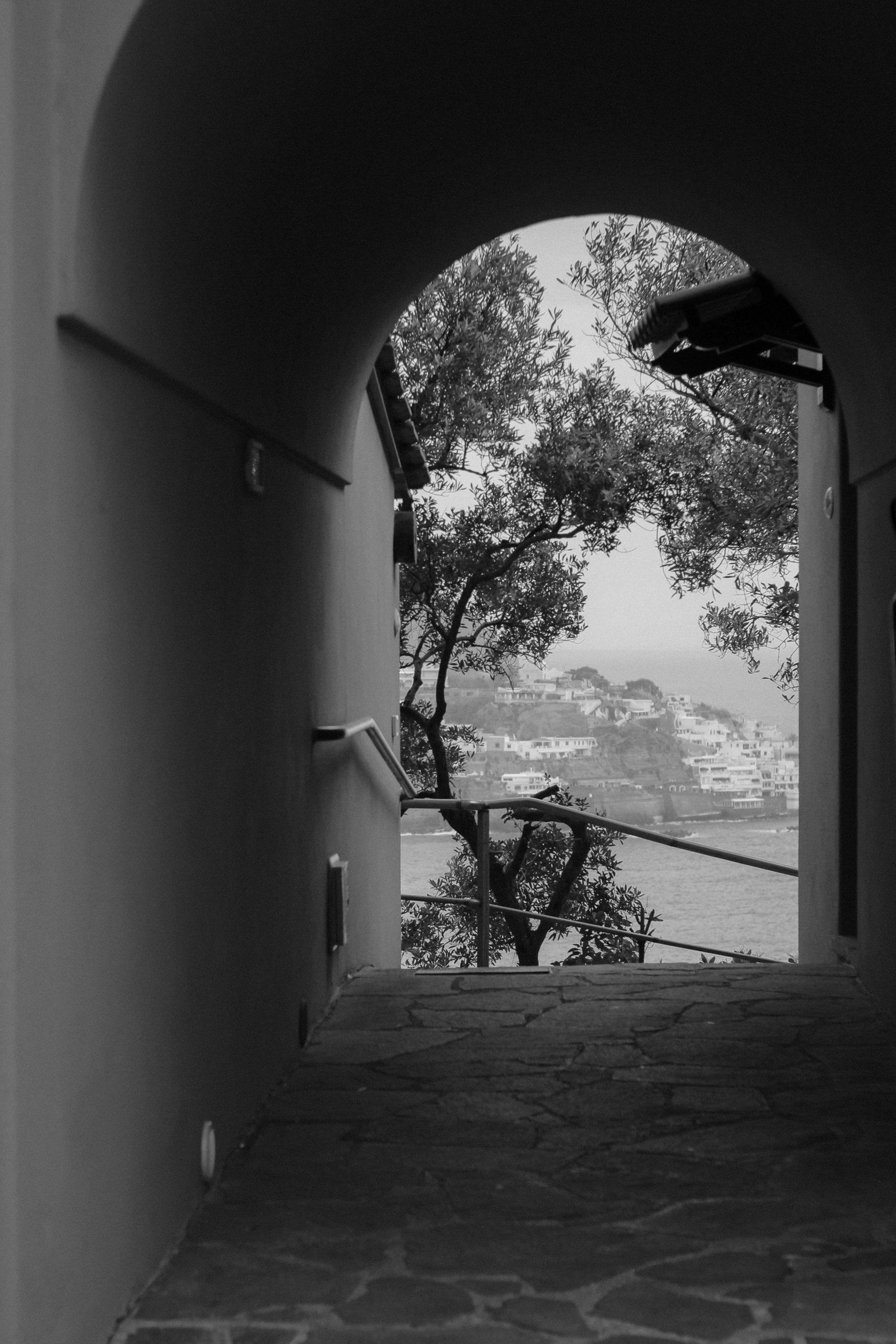 white and blue boat on blue sea water near green palm trees during daytime