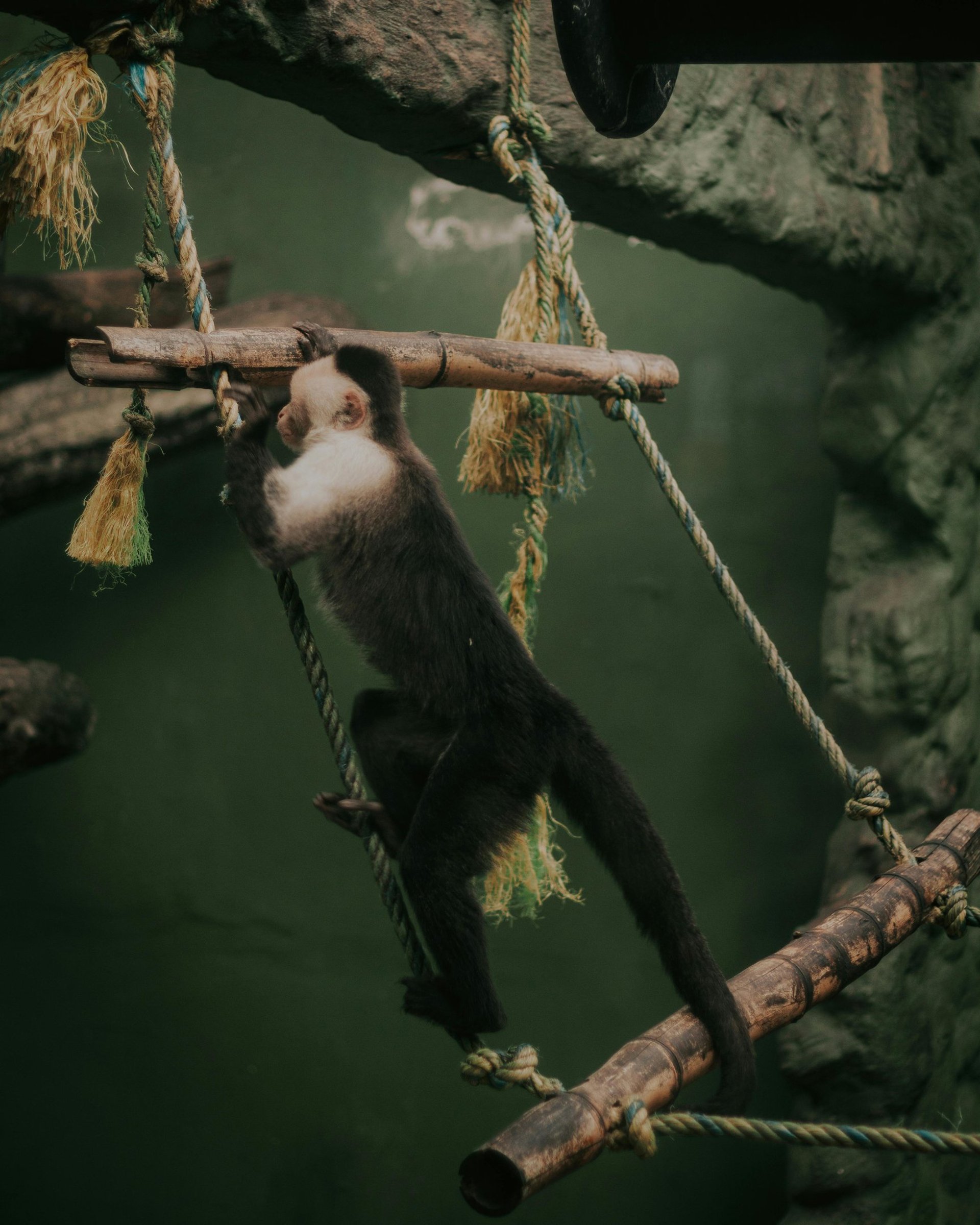 a set of stairs leading up to a hotel