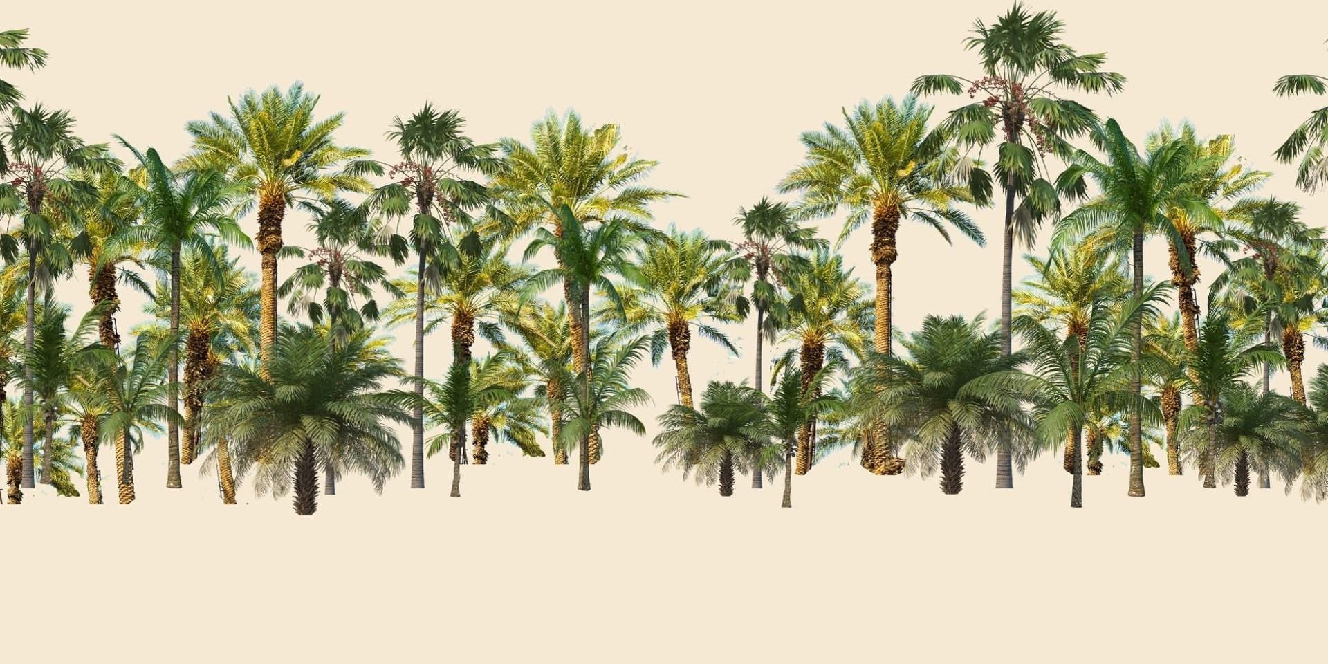 palm trees line the edge of a swimming pool