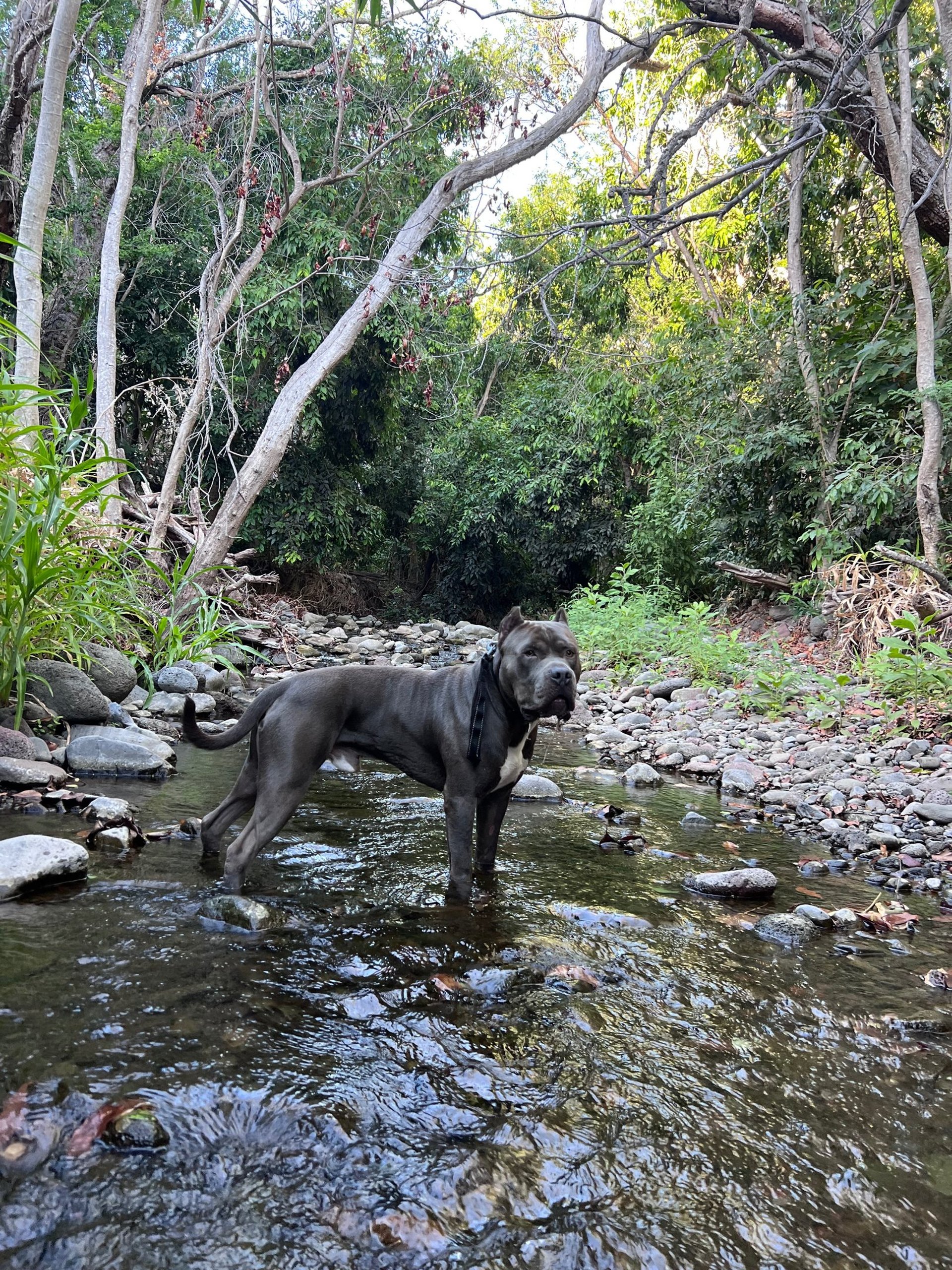 woman wearing yellow long-sleeved dress under white clouds and blue sky during daytime