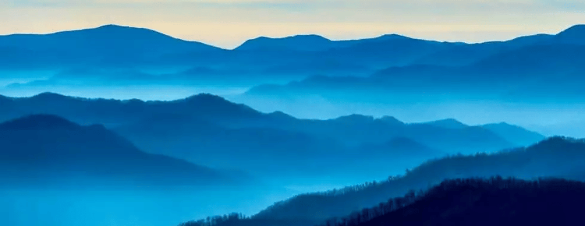 Website design services chapel hill, raleigh, durham, Charlotte NC