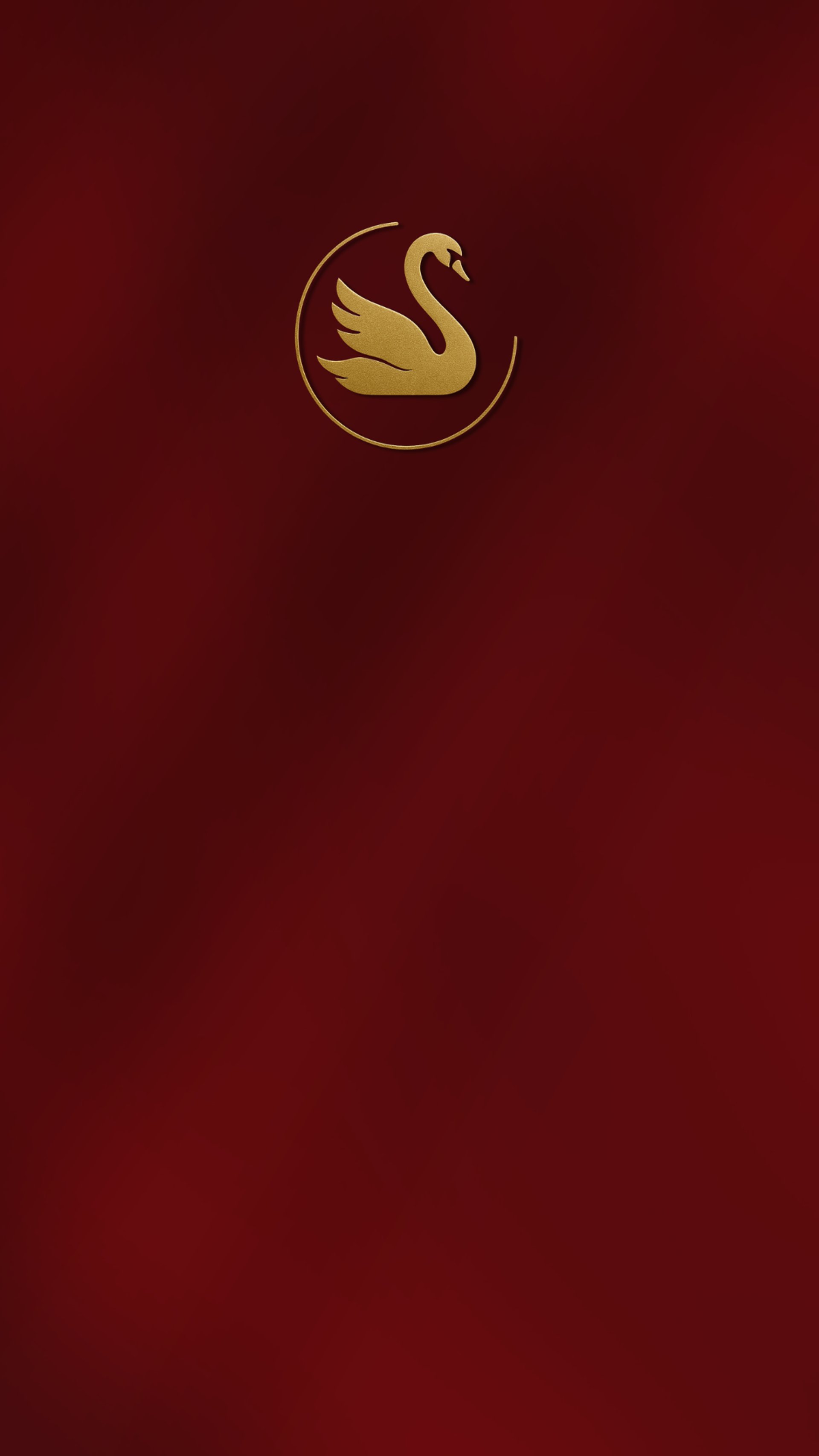 assorted-color hanging clothes lot