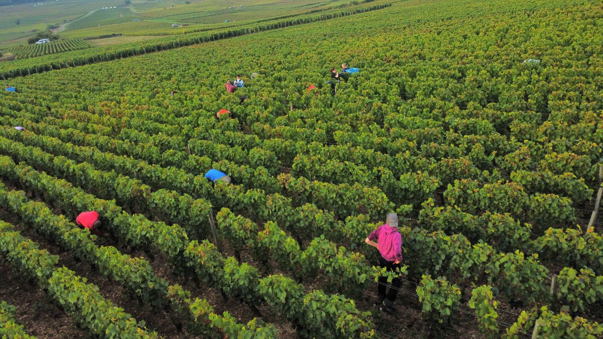 an abstract photo of a curved building with a blue sky in the background