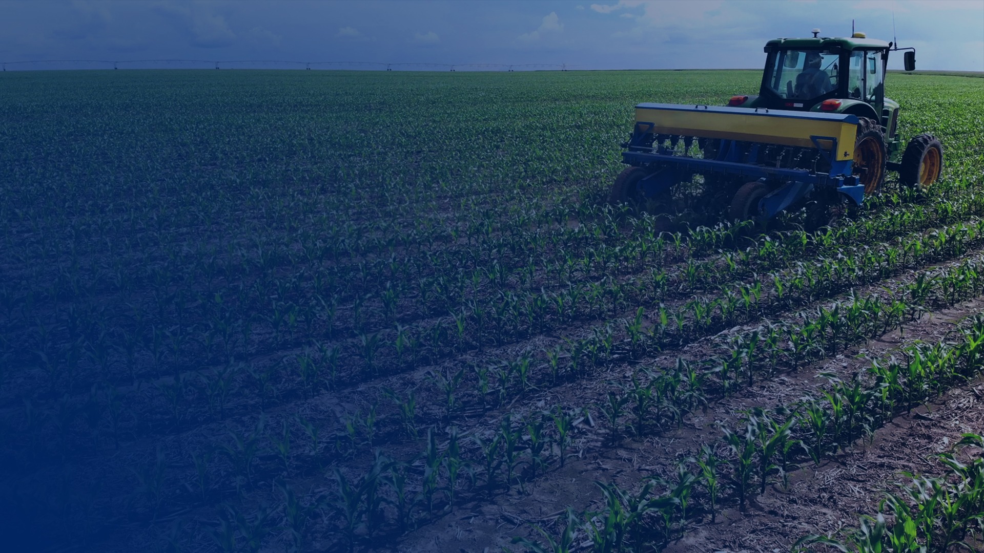 woman wearing yellow long-sleeved dress under white clouds and blue sky during daytime