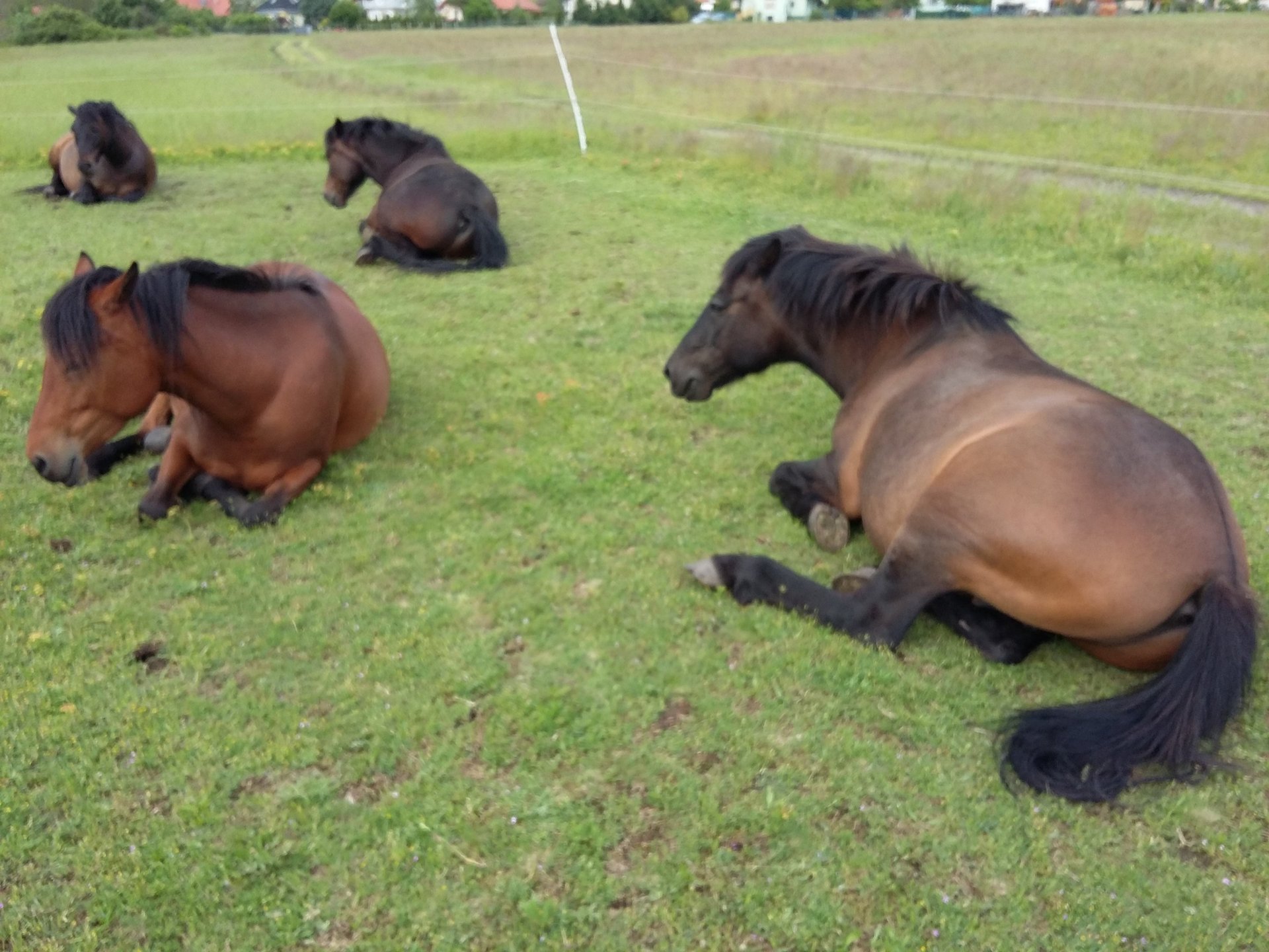 gray computer monitor