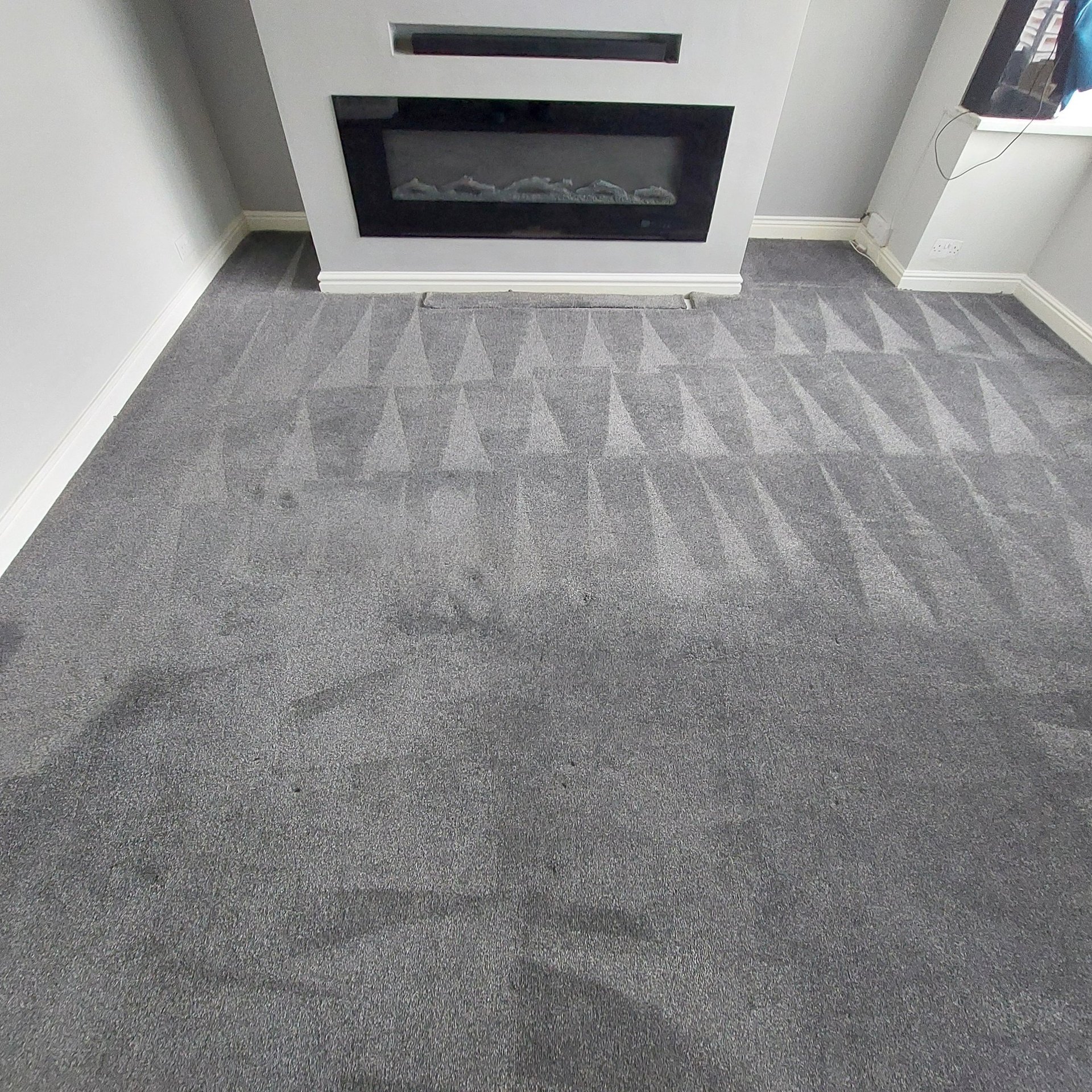 pet and food stains professionally removed in living room in Leeds