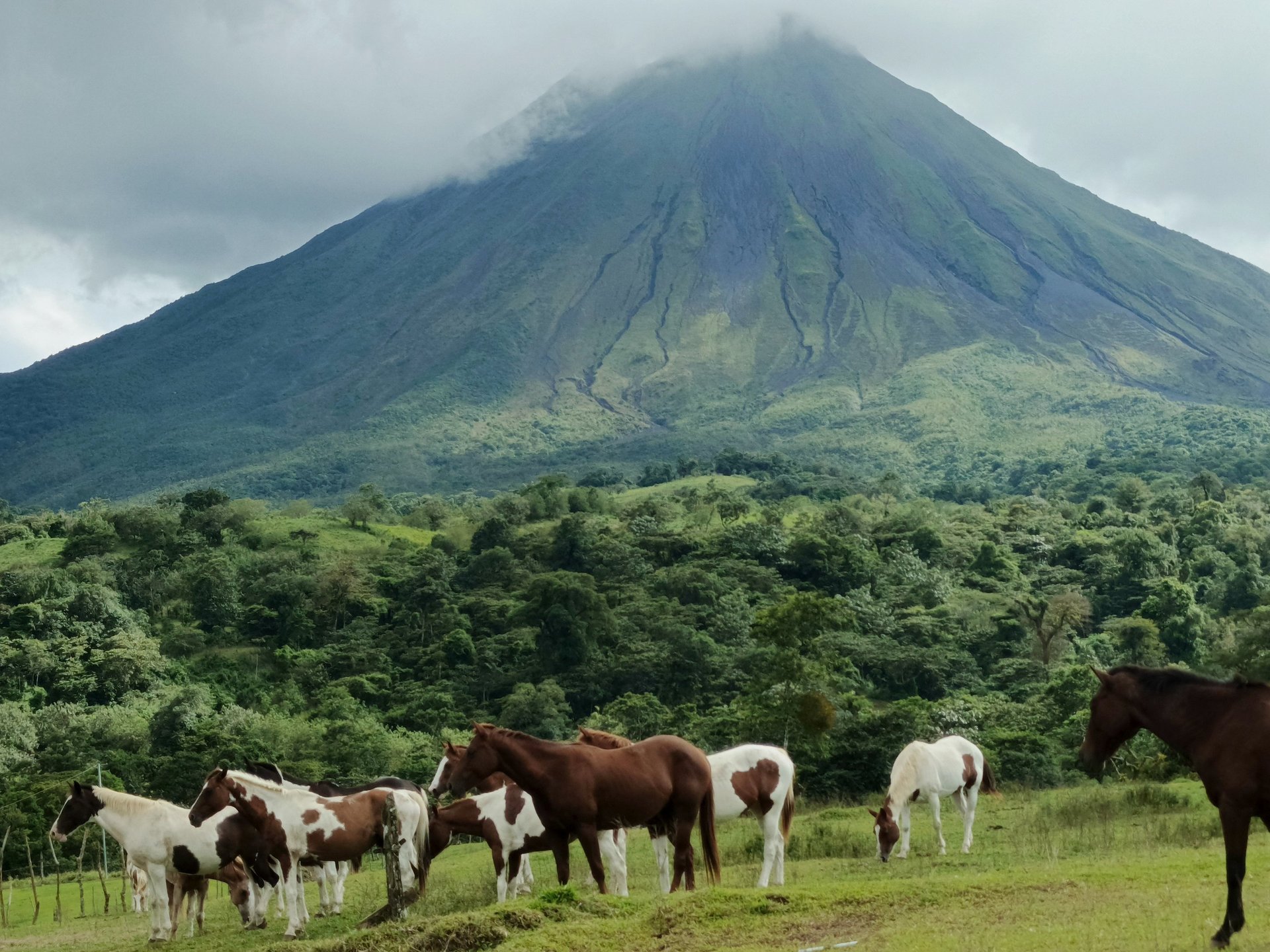 green mountain under blue sky and white clouds during daytime