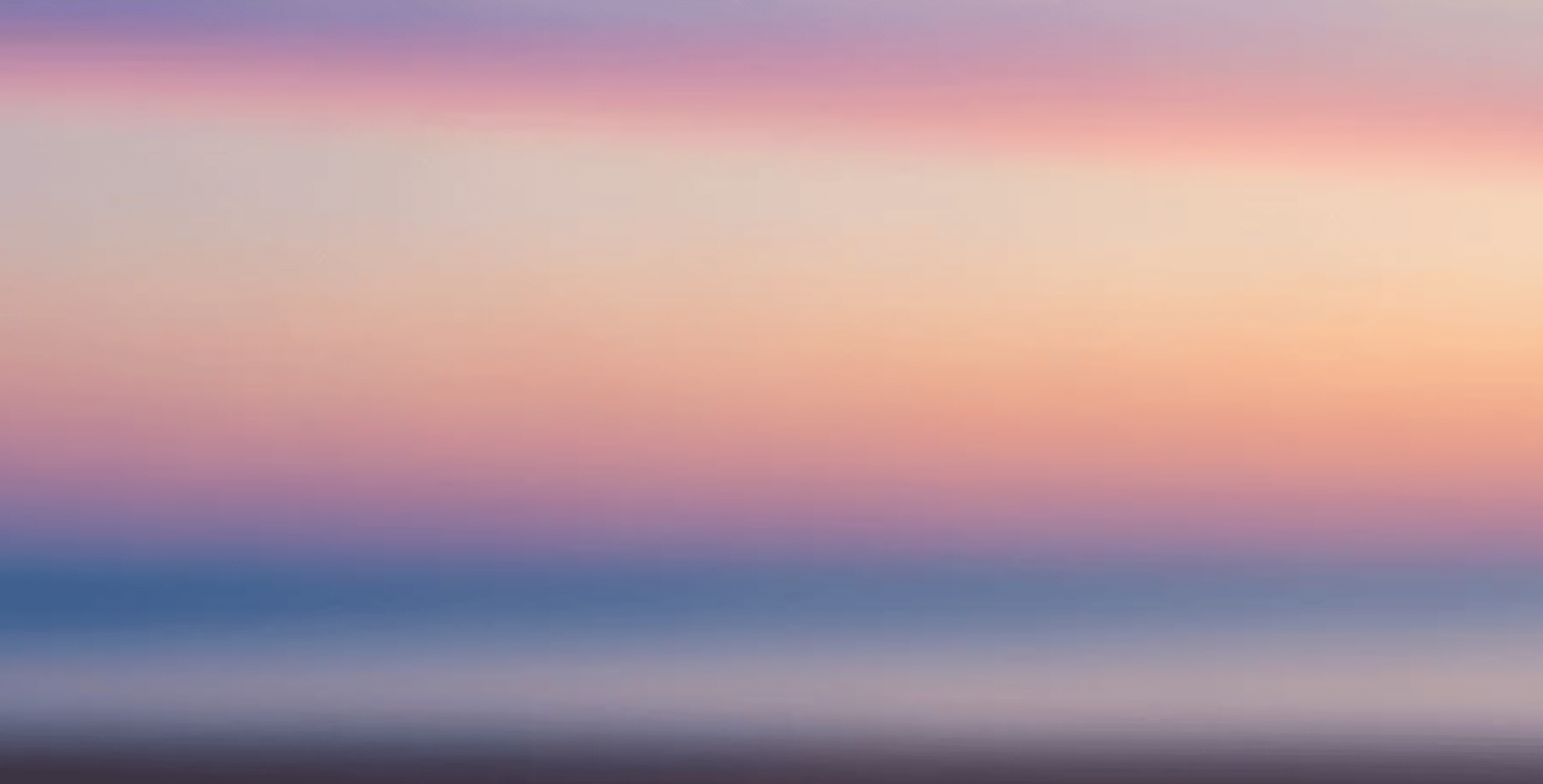 body of water surrounded by trees