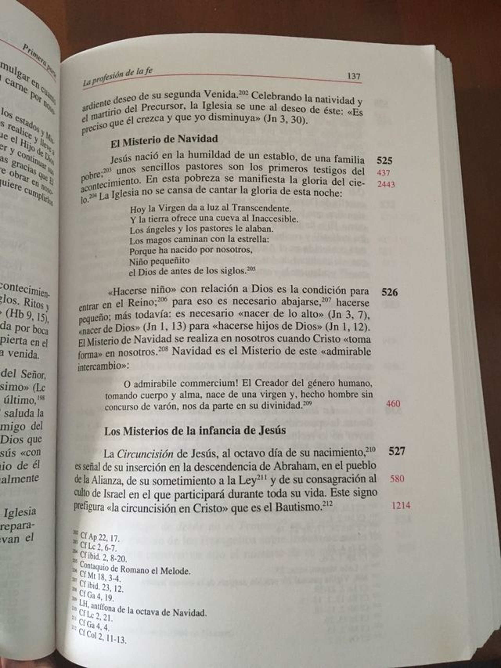 Catecismo de la iglesia catolica en el sitio web voces de amor y vida