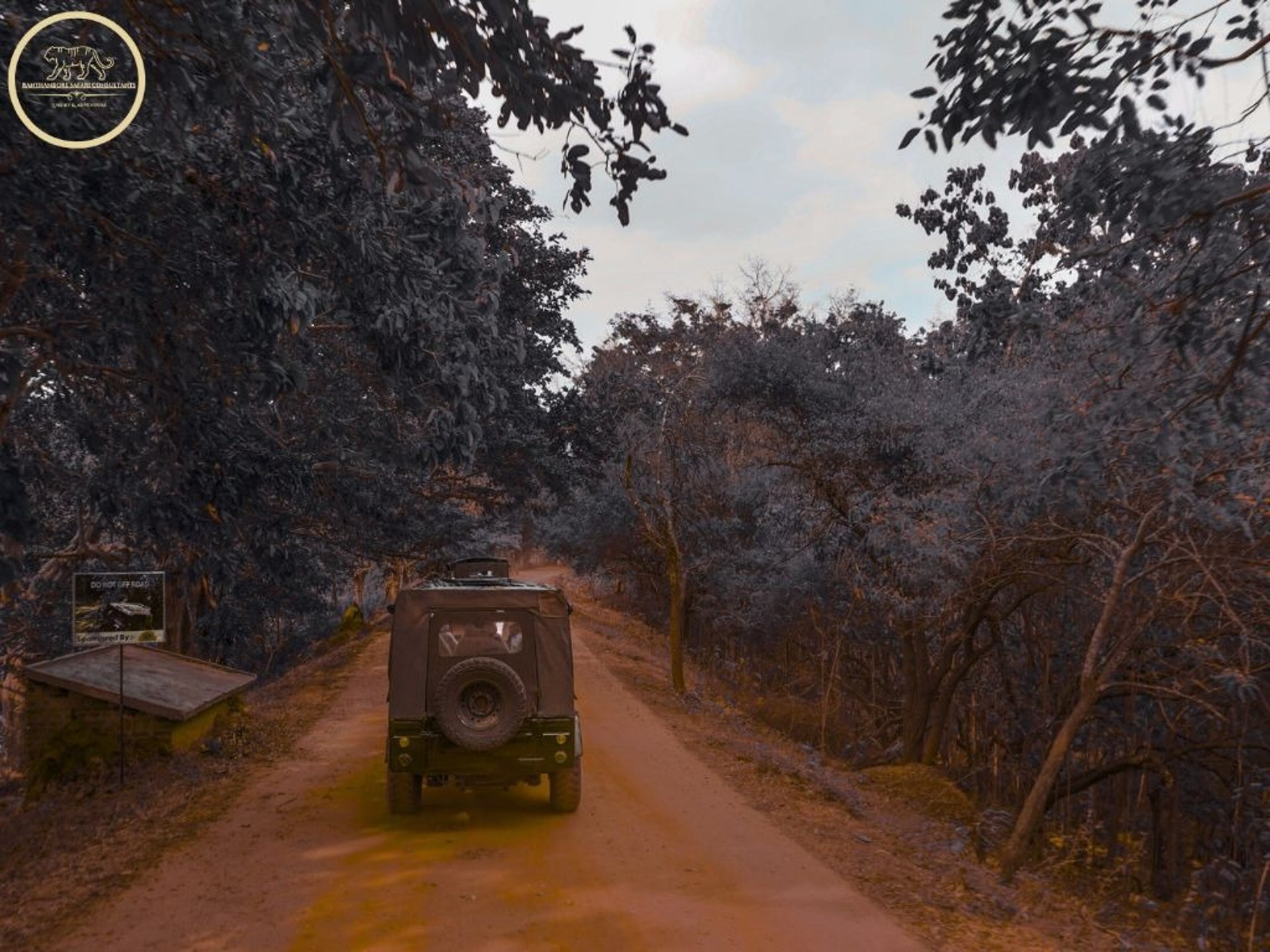 jeep in ranthambore national park