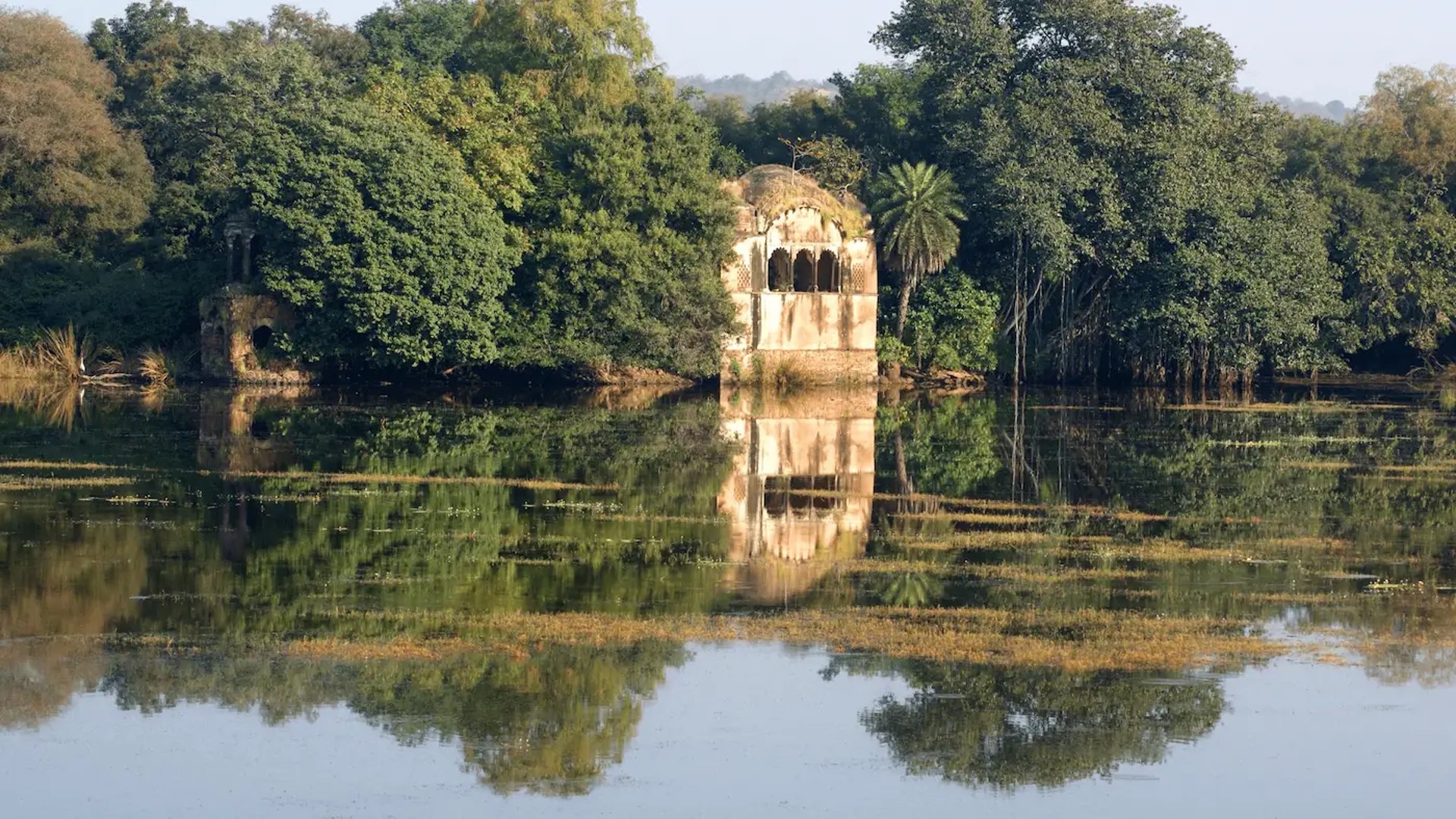 the ranthambore national park