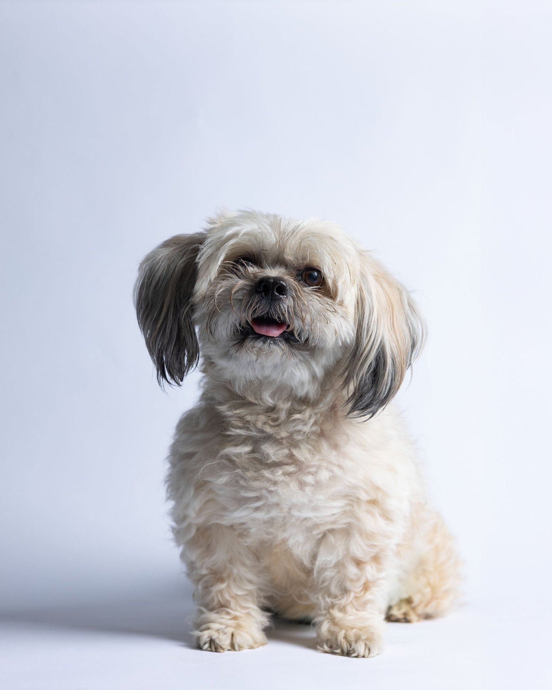 mountain range under blue sky