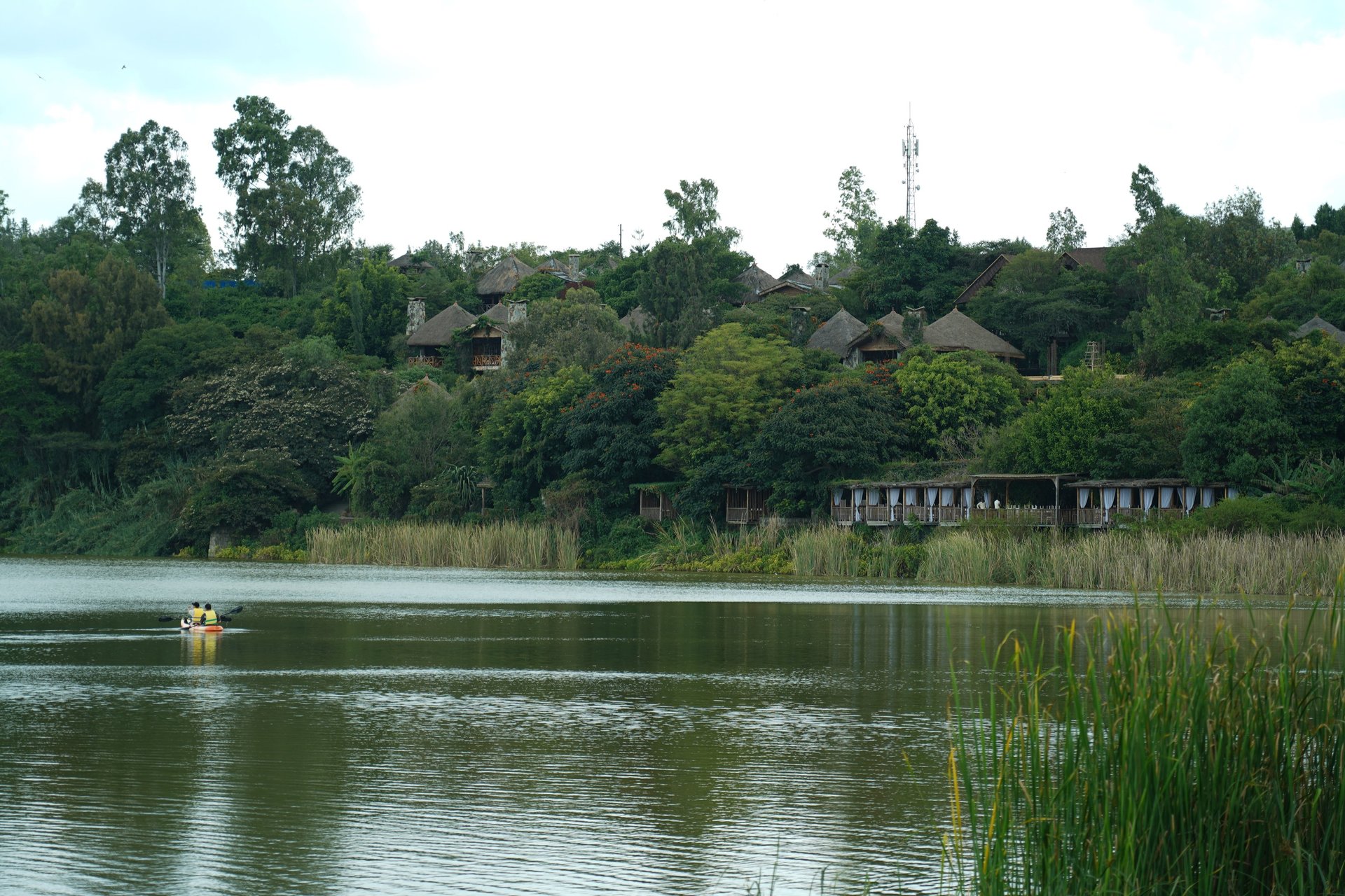 black blue and yellow textile
