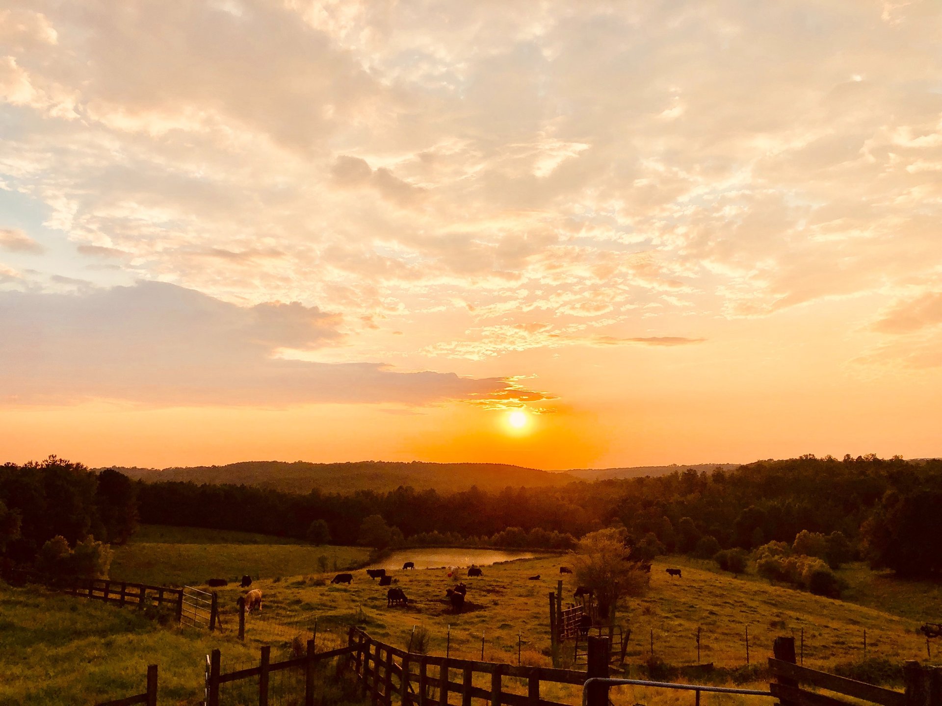 woman holding dried flower
