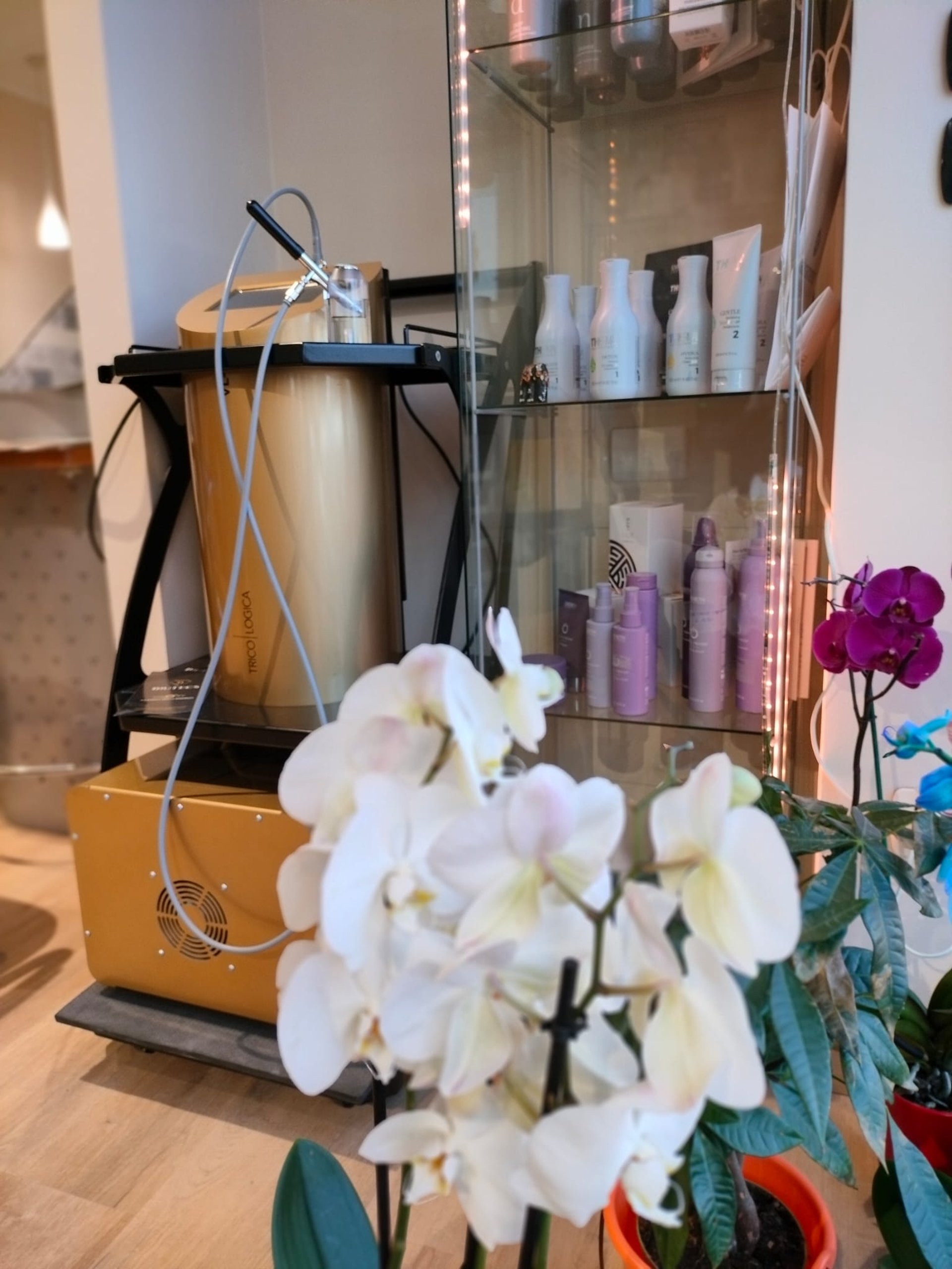 black and brown leather padded tub sofa