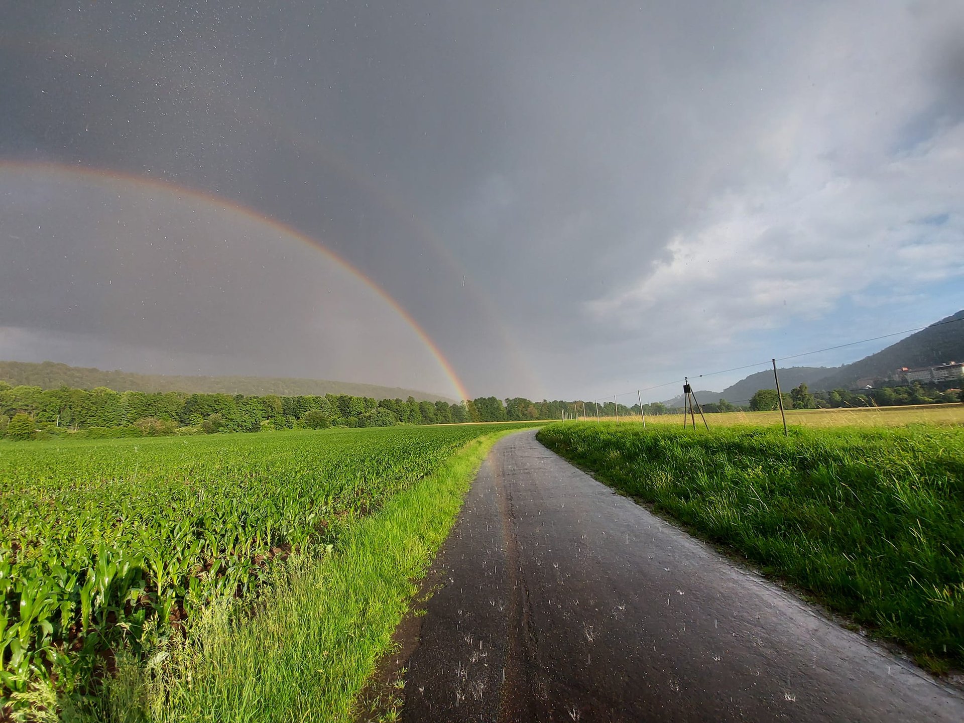 black and brown leather padded tub sofa