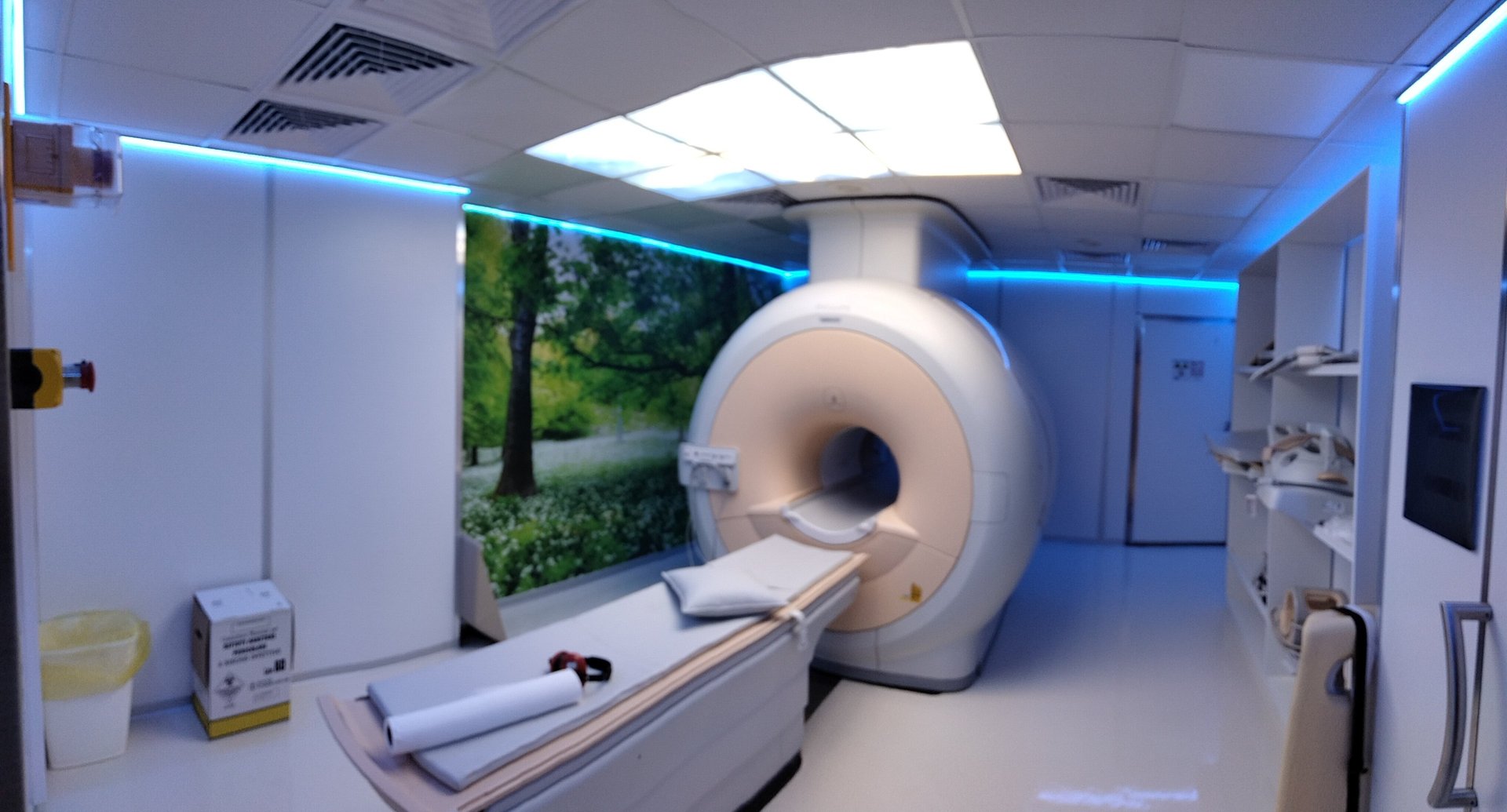 woman wearing yellow long-sleeved dress under white clouds and blue sky during daytime