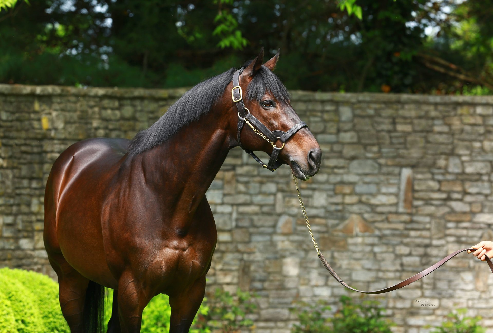 an abstract photo of a curved building with a blue sky in the background