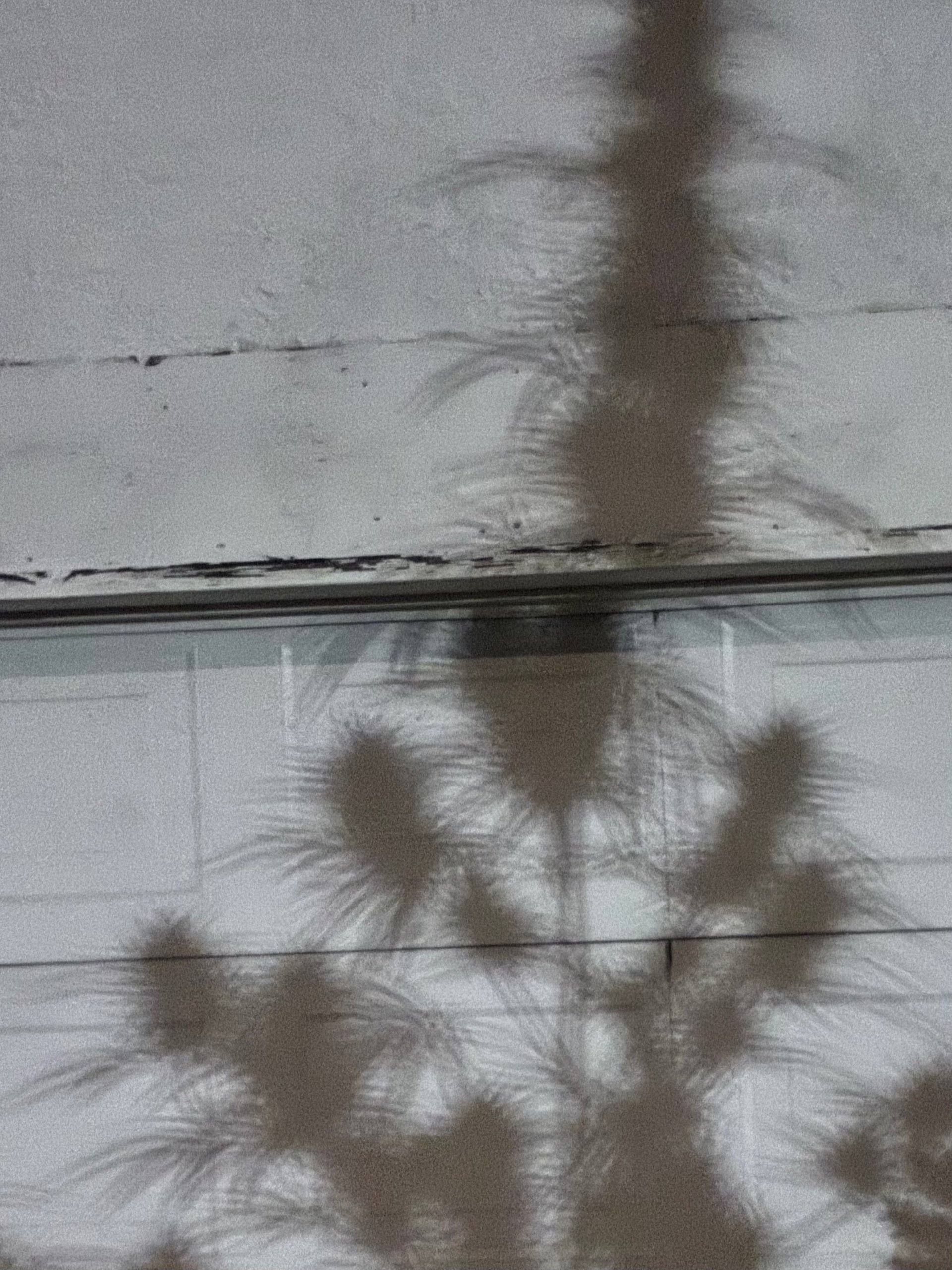 Creative desk with open notebook, pencils, and books — symbolizing left-handed creativity and neuroplasticity.
