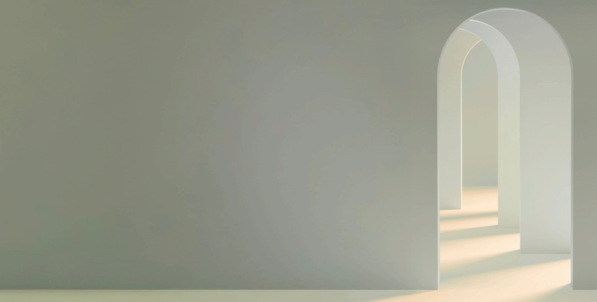 body of water surrounded by pine trees during daytime