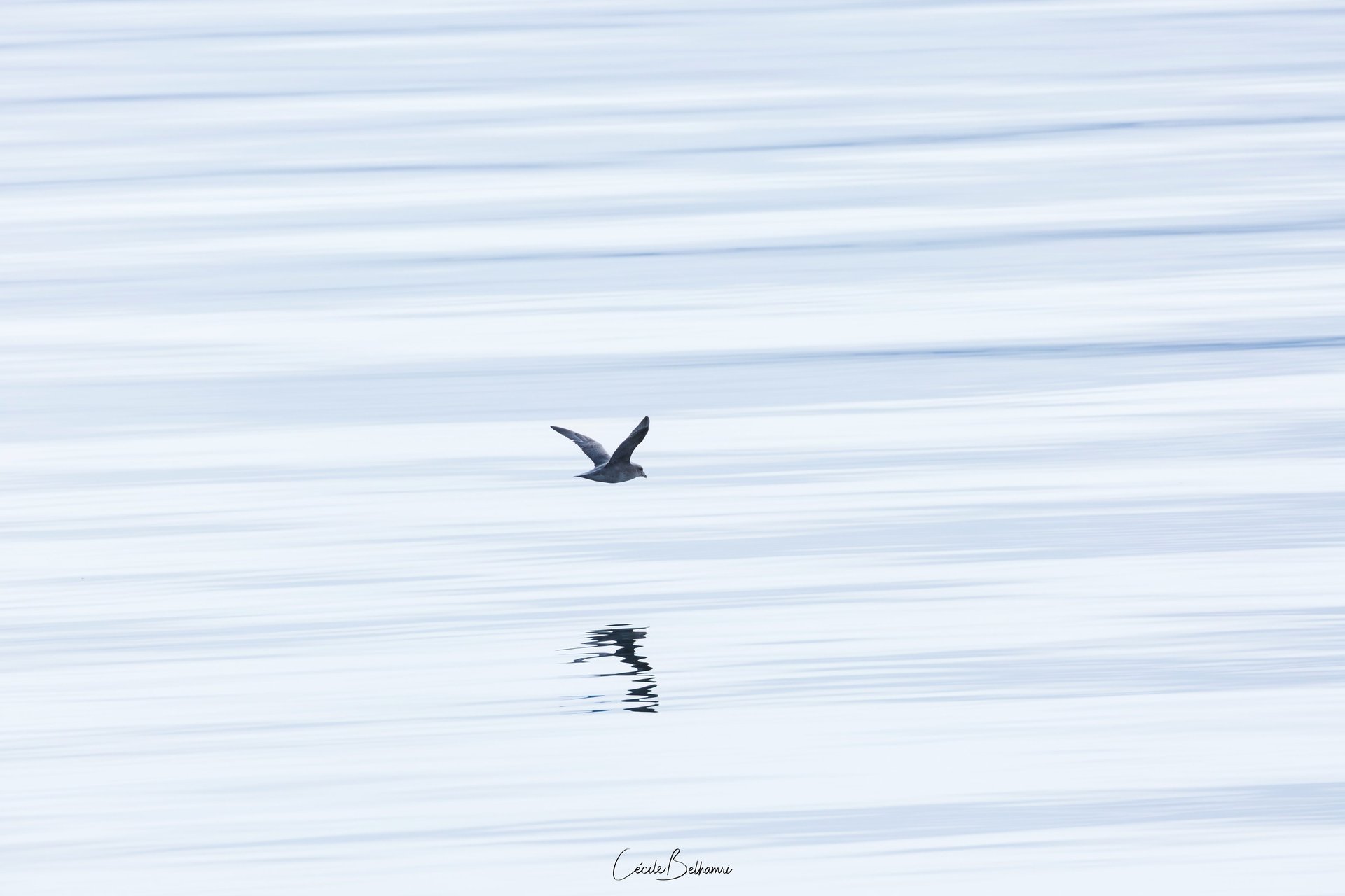 woman holding dried flower
