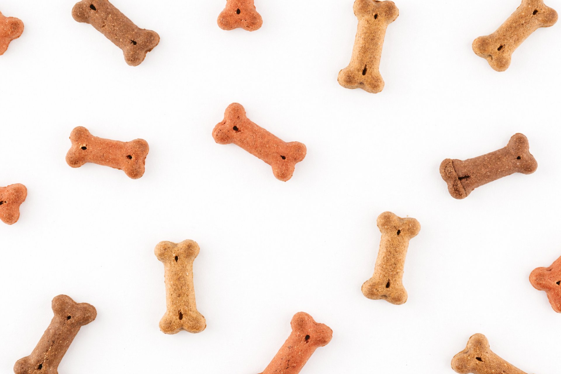 multicolored dog bone toys