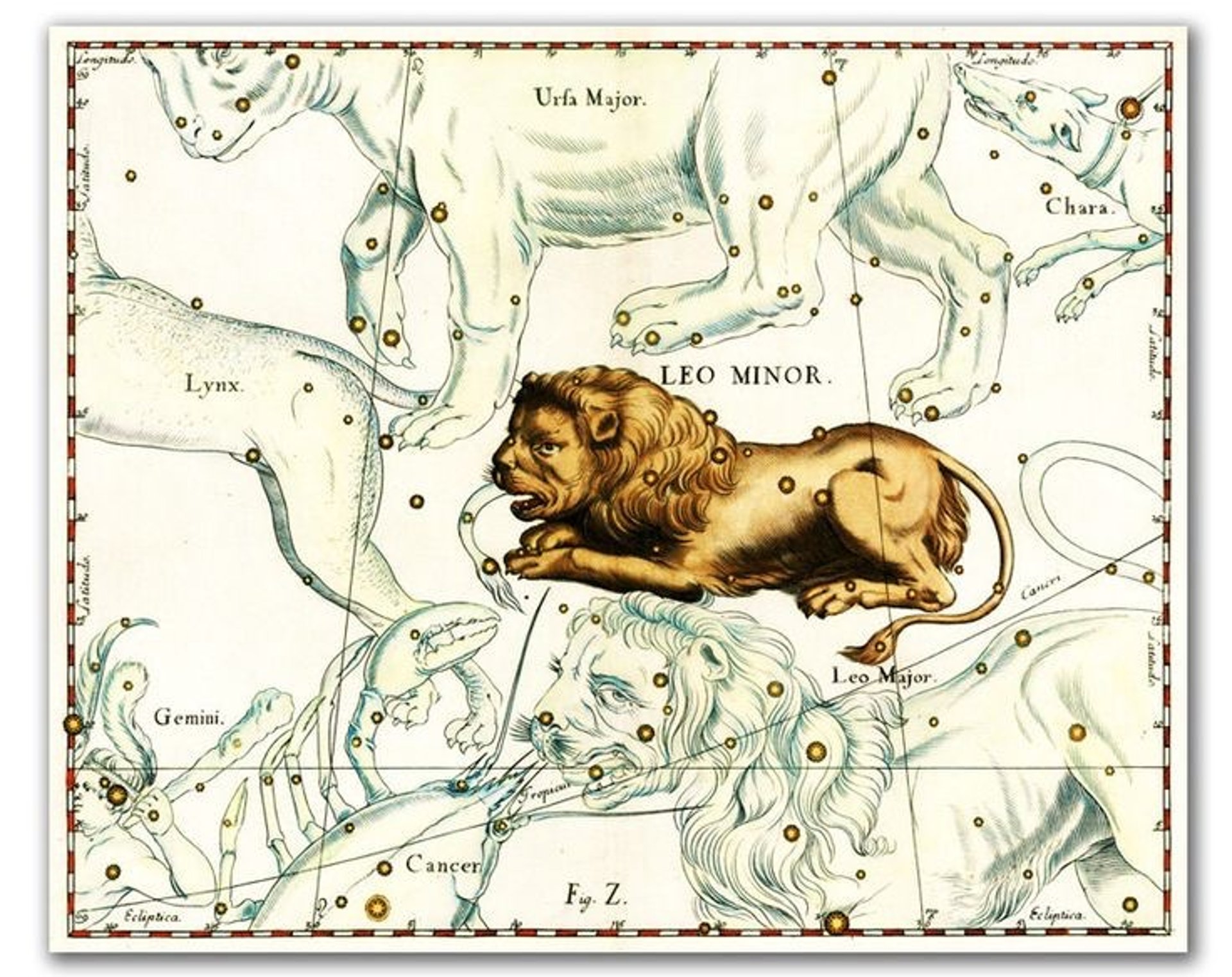 Sun setting behind silhouetted plants