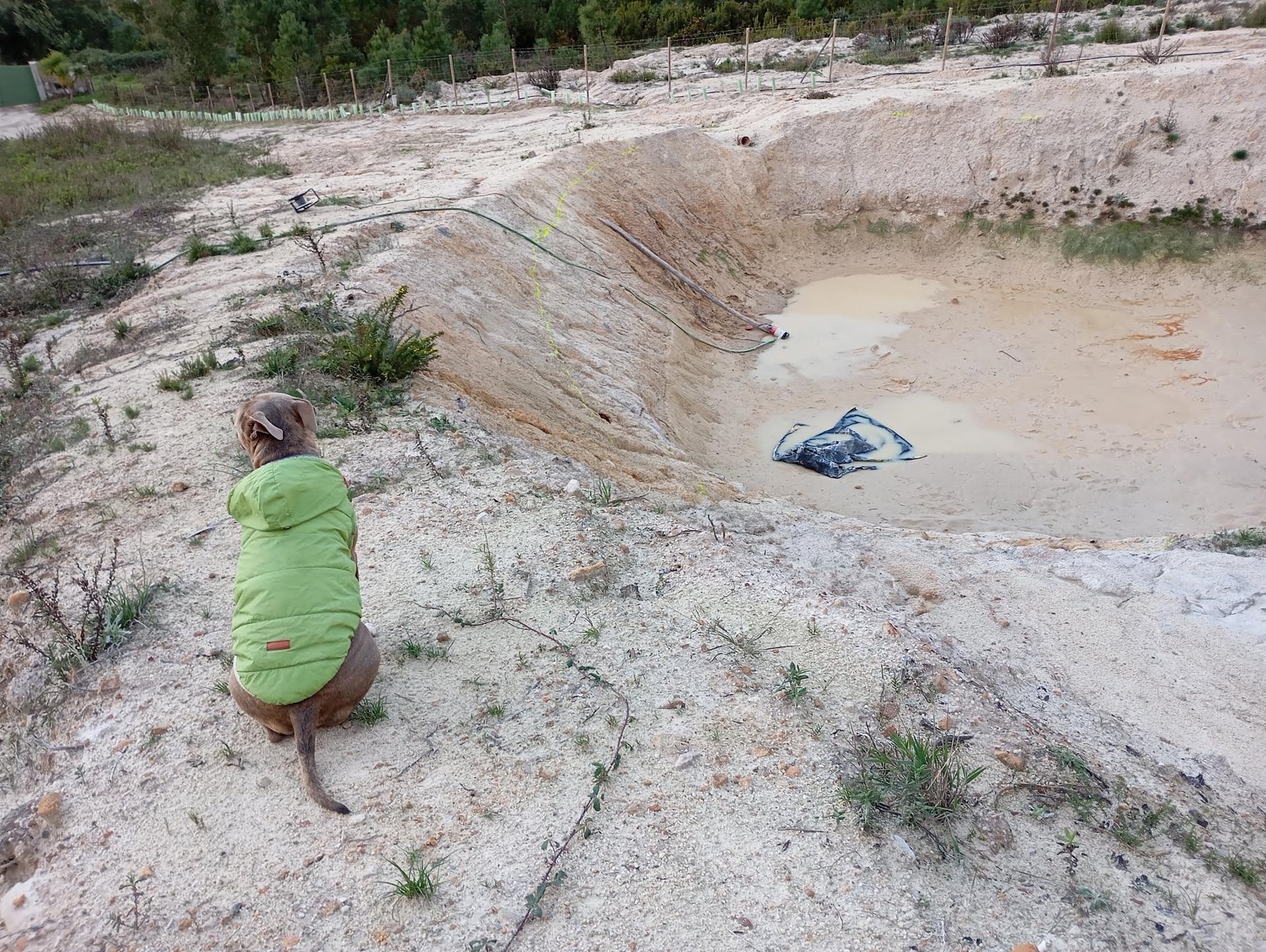 an abstract photo of a curved building with a blue sky in the background