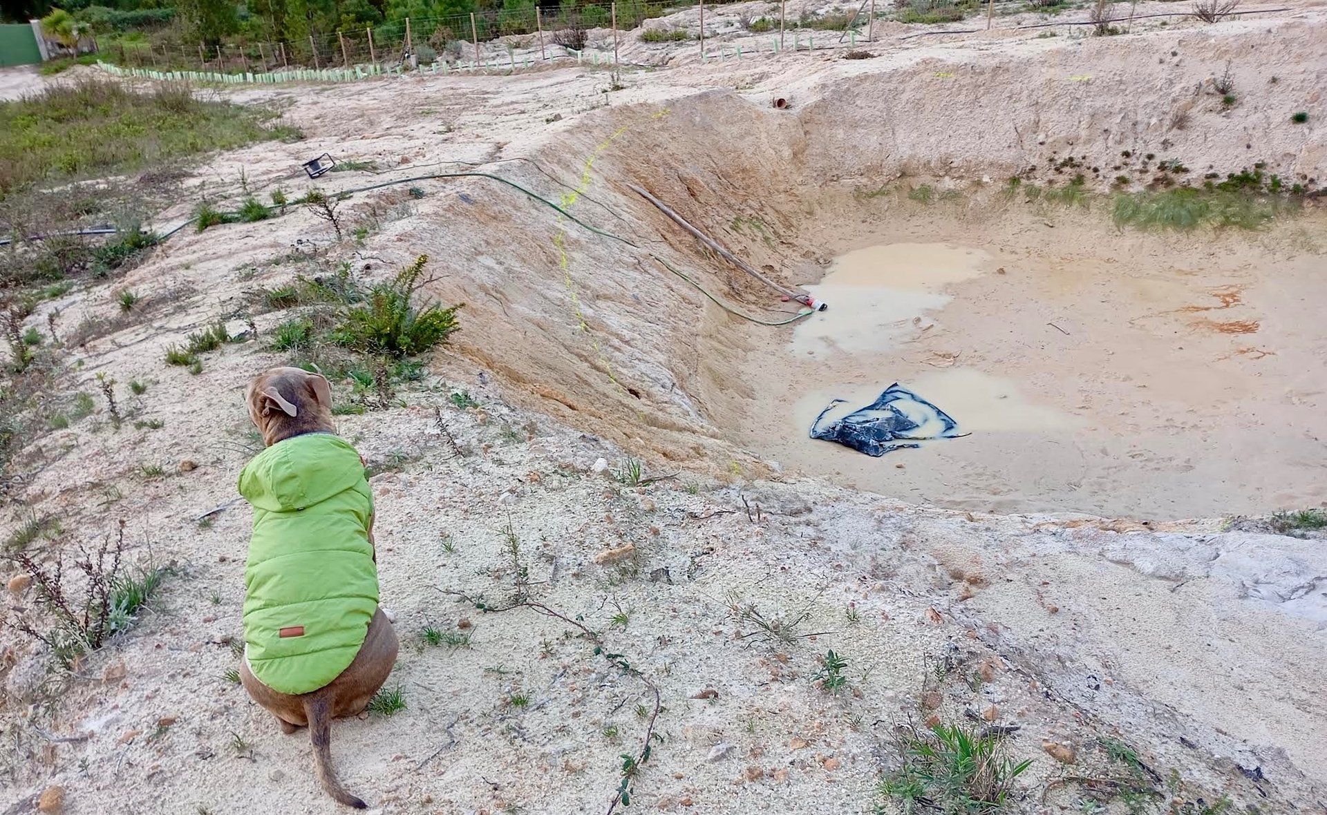 an abstract photo of a curved building with a blue sky in the background