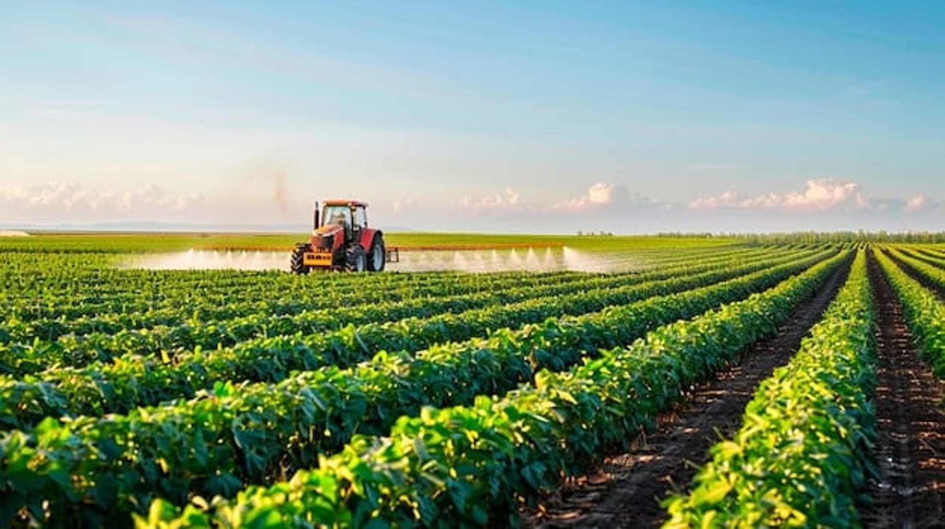 brown tractor on green grass field