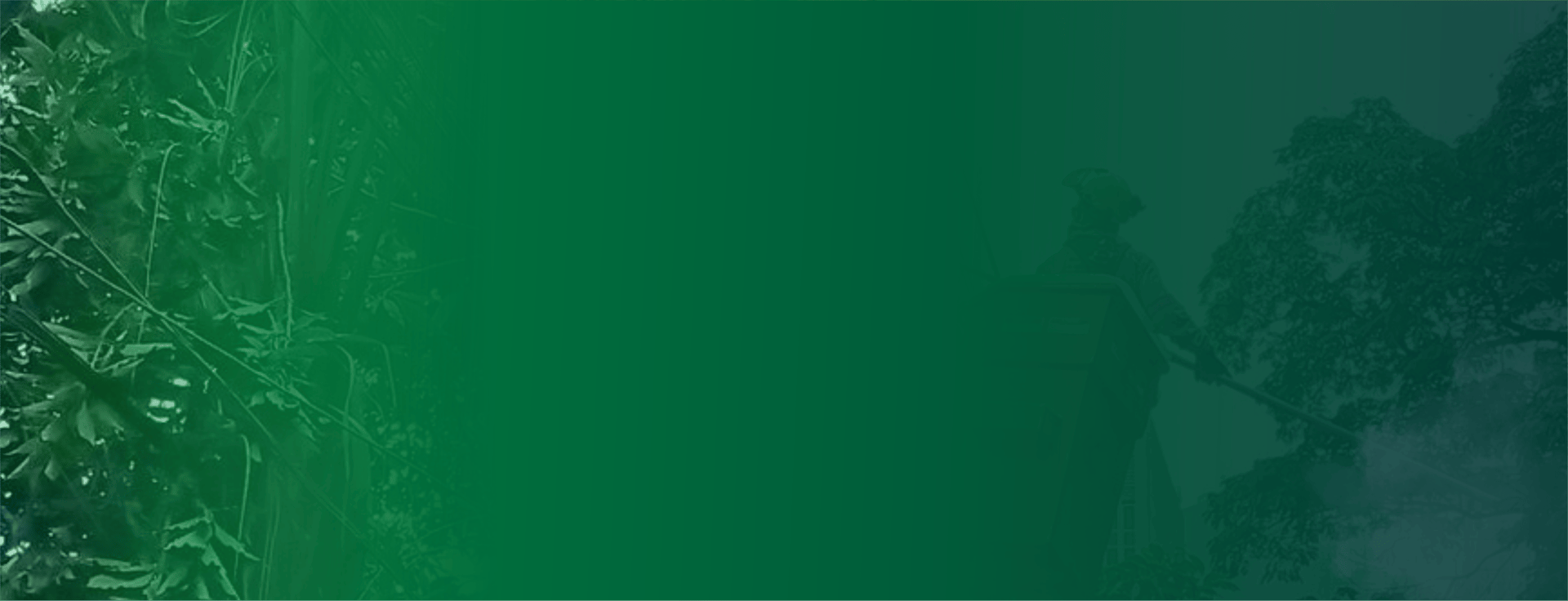 Banner verde com imagem de fundo de equipe Alpina Podas trabalhando em altura com plataforma elevatória para poda de árvores