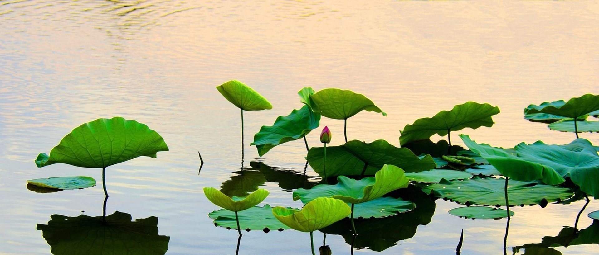 an abstract photo of a curved building with a blue sky in the background
