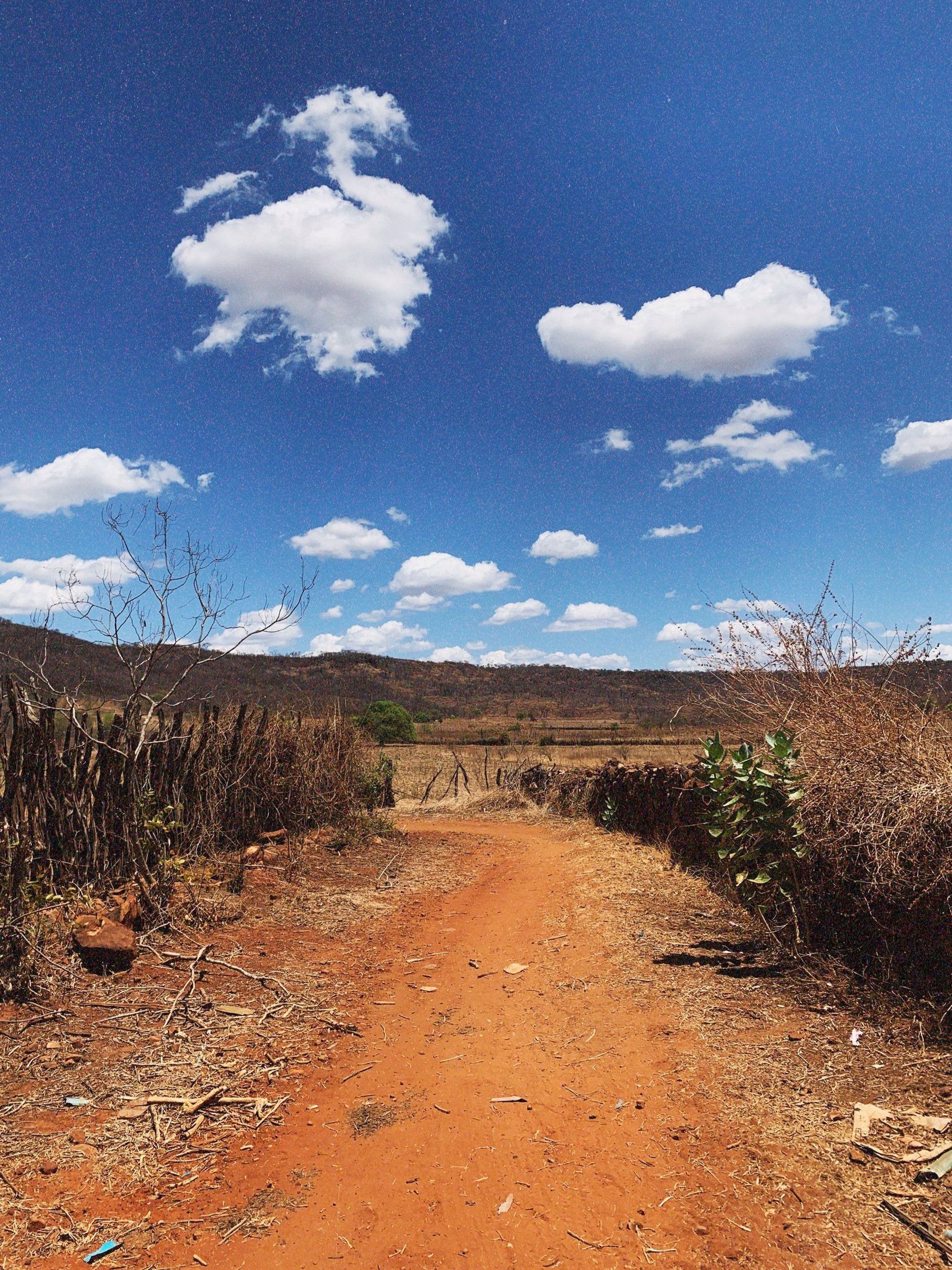 black and brown leather padded tub sofa