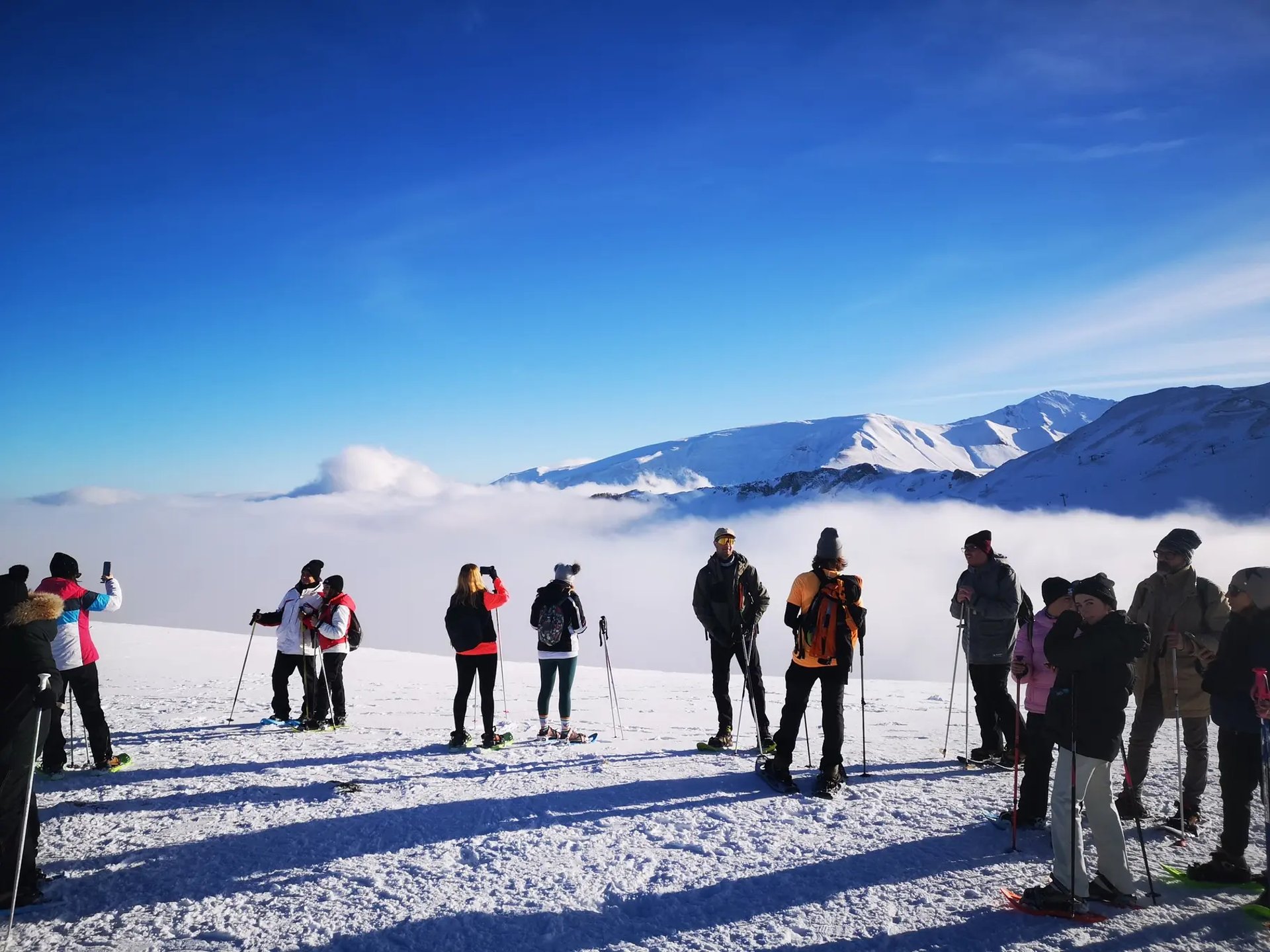 brown concrete building near green trees under blue sky during daytime