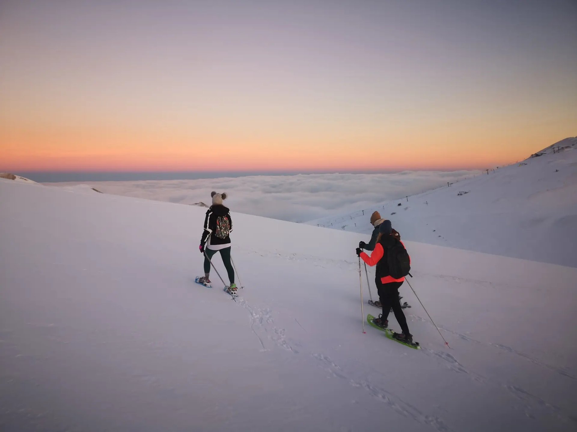 brown concrete building near green trees under blue sky during daytime