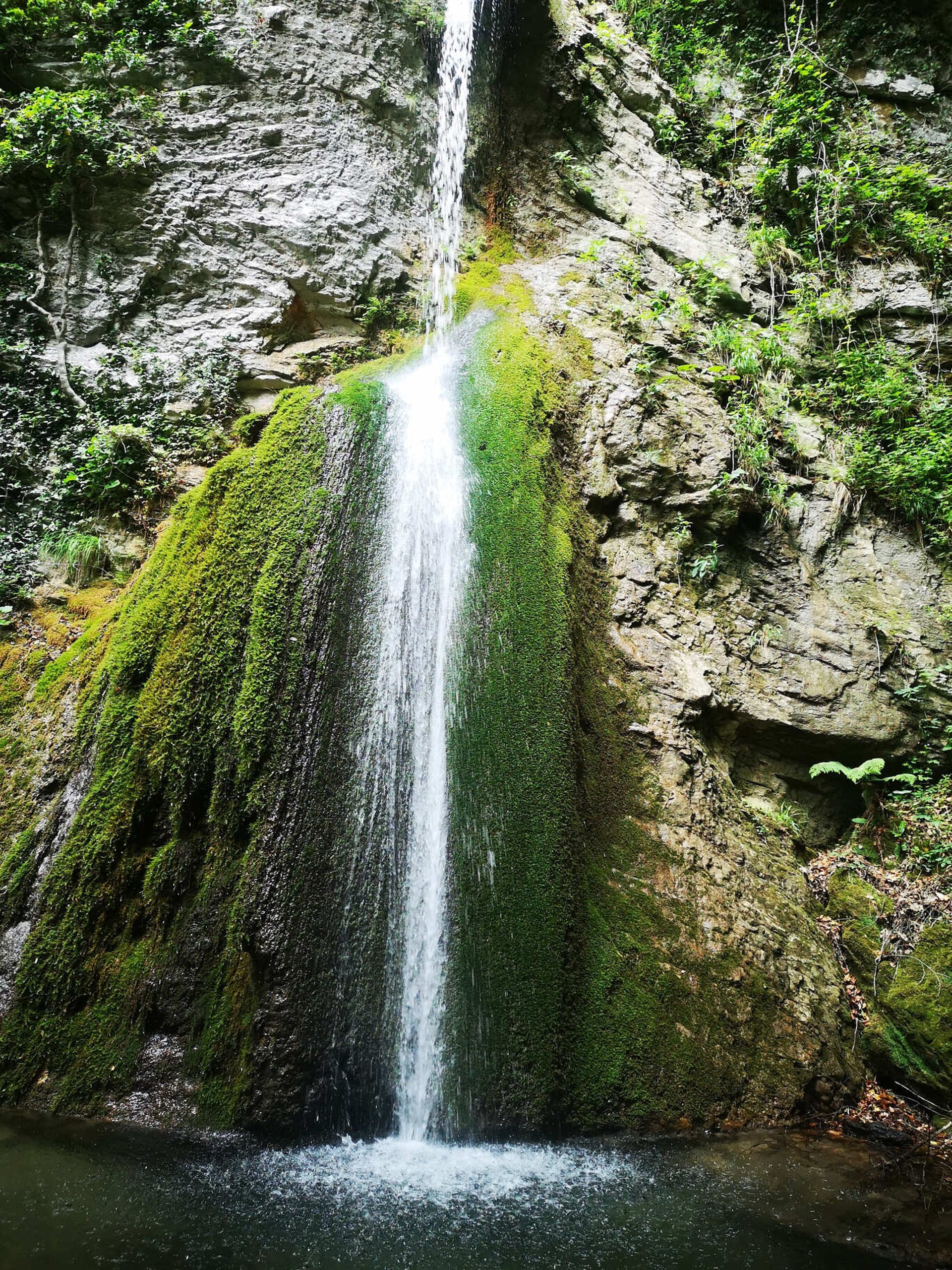 A stream of water running over rocks covered in moss