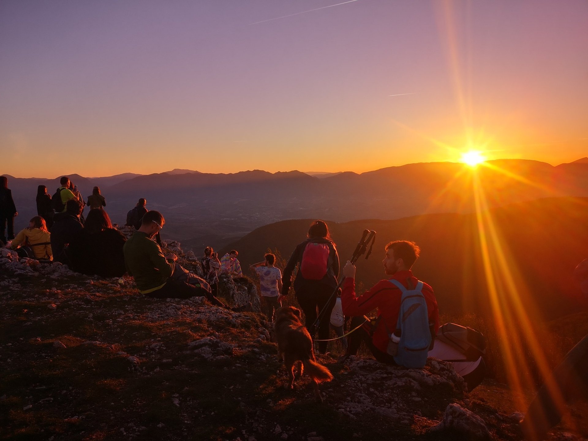 brown concrete building near green trees under blue sky during daytime