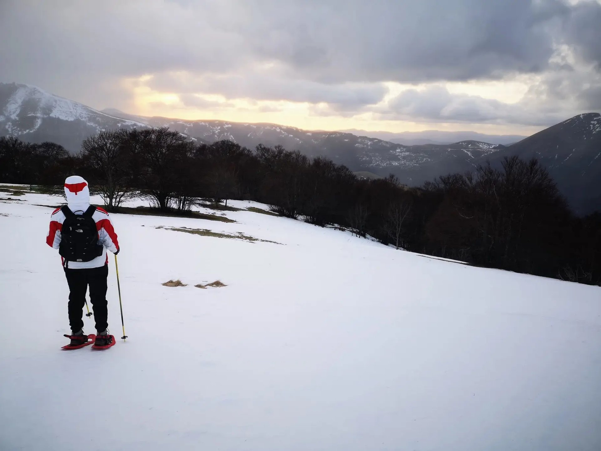 brown concrete building near green trees under blue sky during daytime