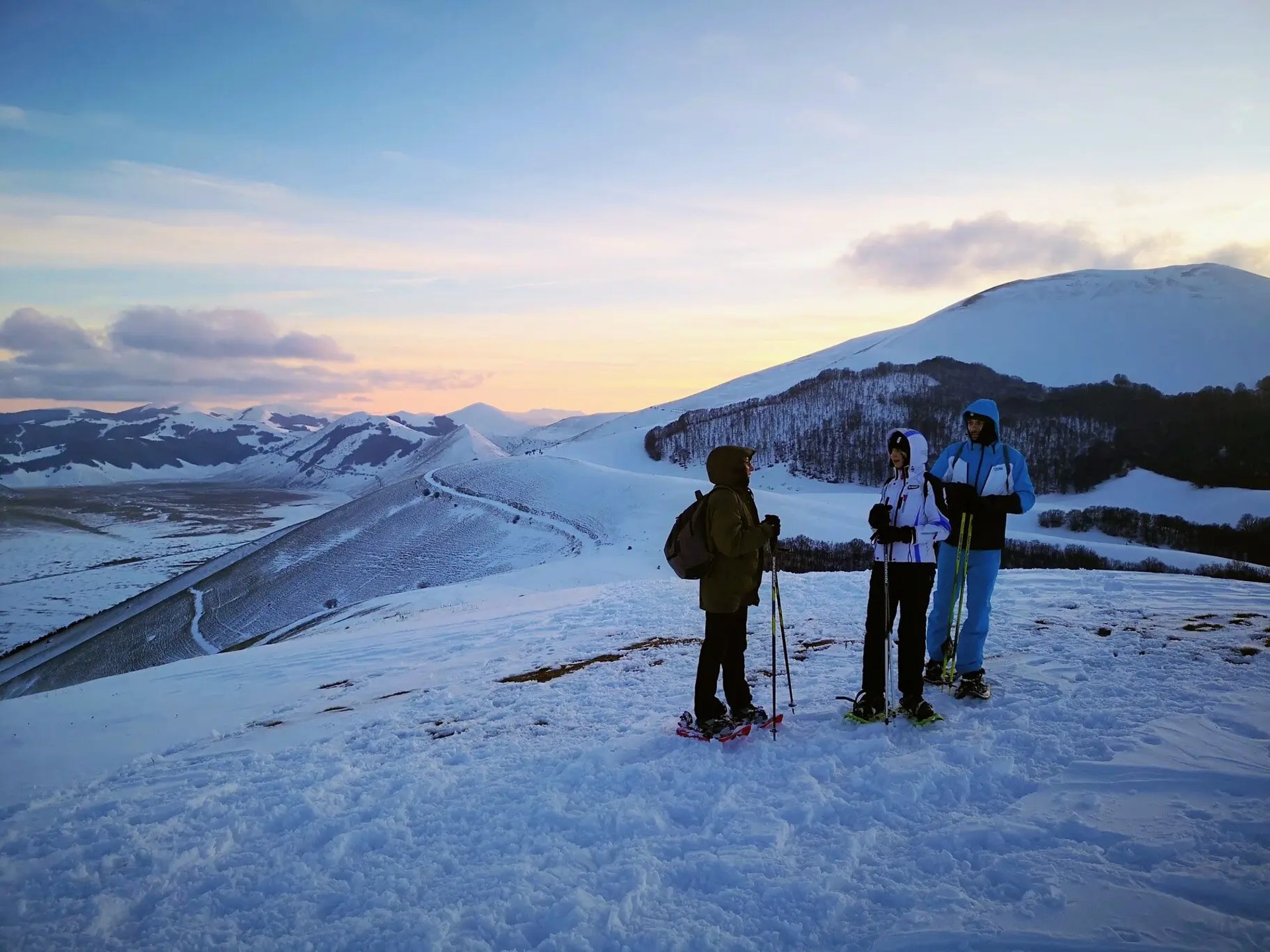 brown concrete building near green trees under blue sky during daytime