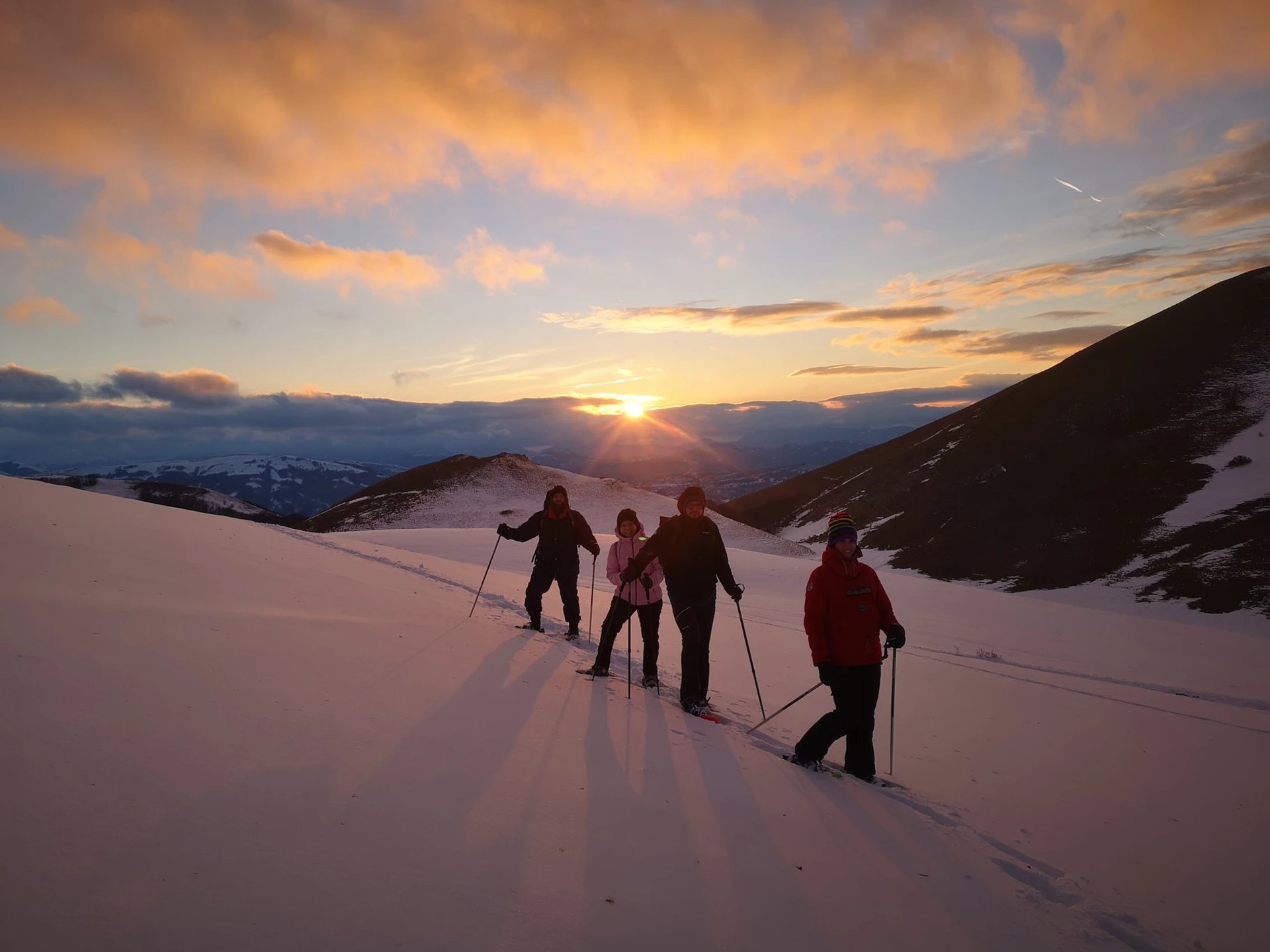 brown concrete building near green trees under blue sky during daytime