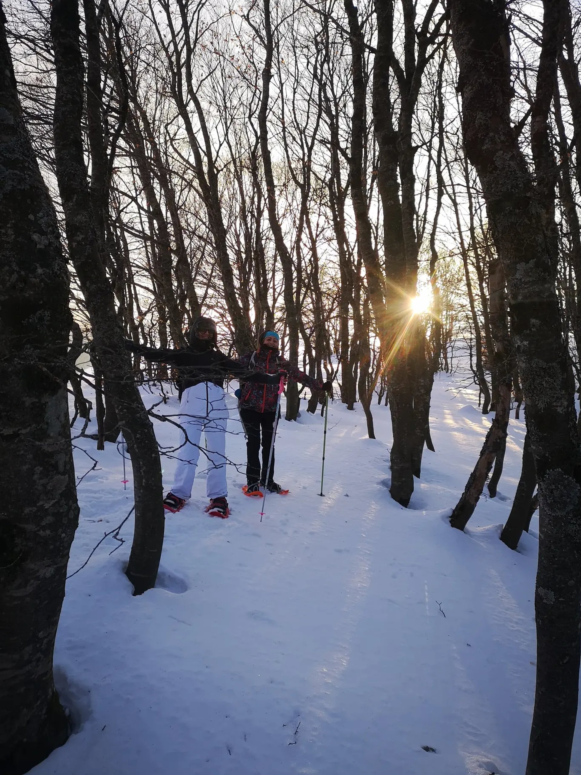 brown concrete building near green trees under blue sky during daytime