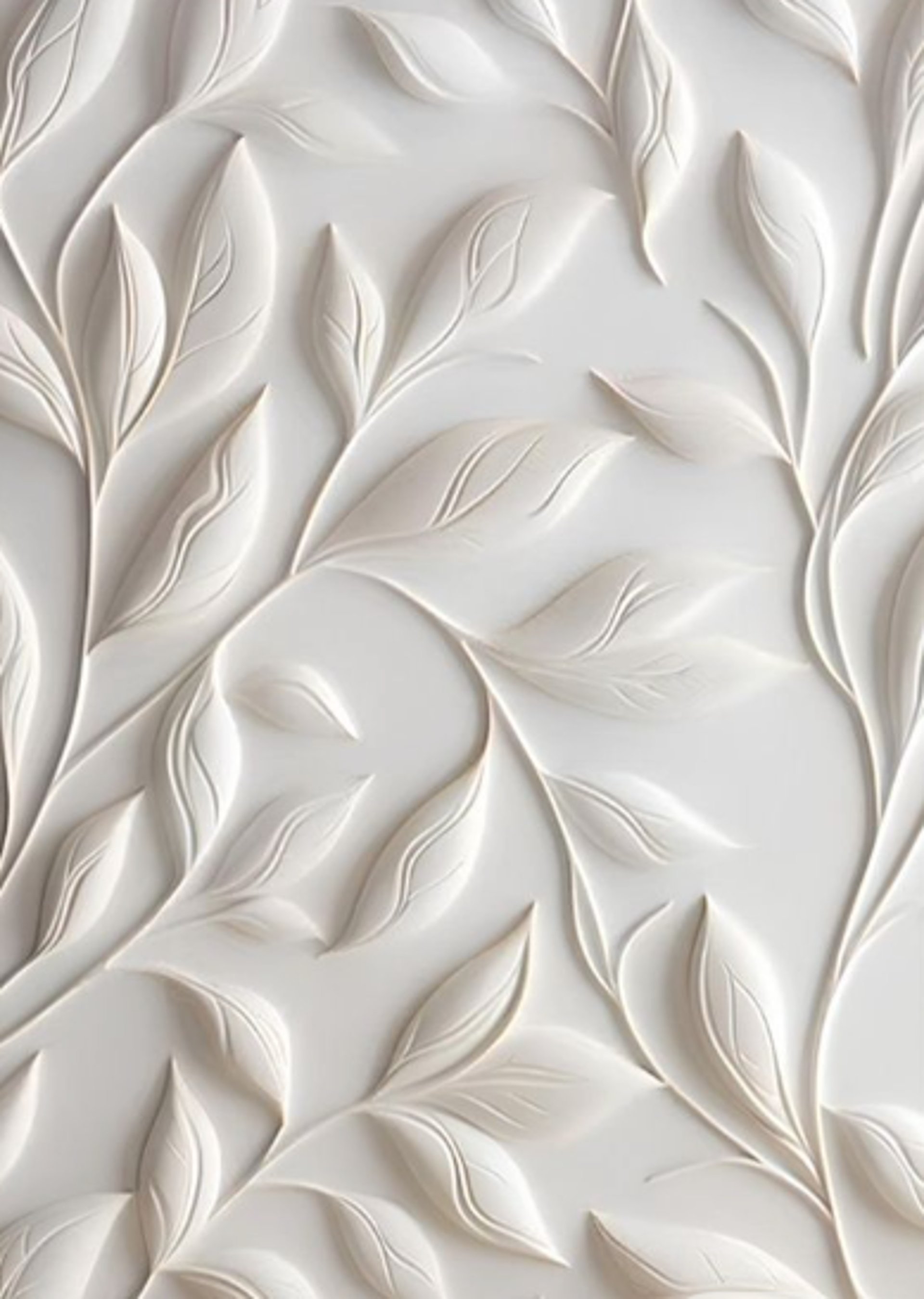 touché clinic - brasil